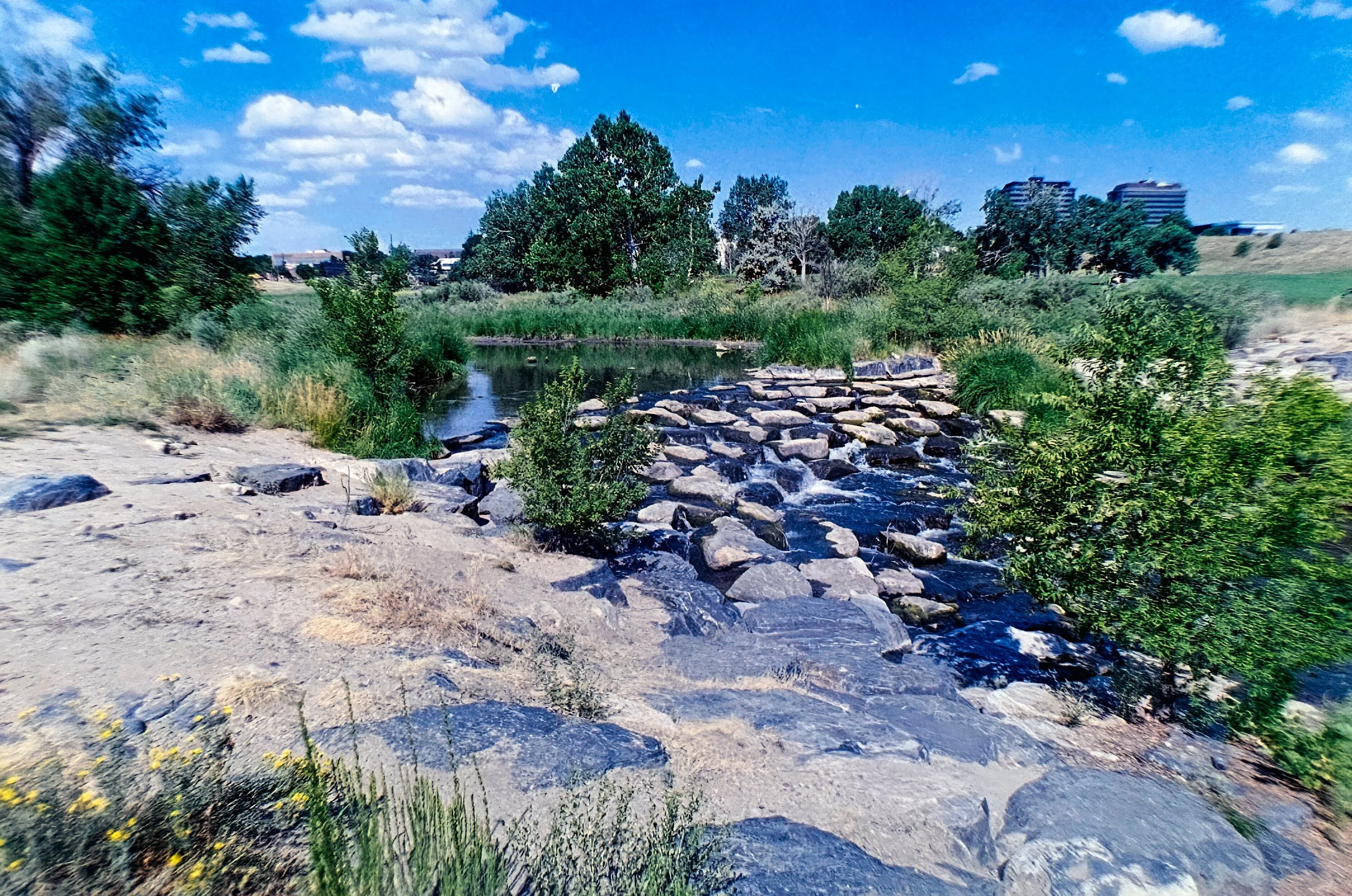 Paul A Hentzell Park
Camera: Canon A-1
Film: Kodak UltraMax
Speed: 400
Size: 135
Format: Full Frame