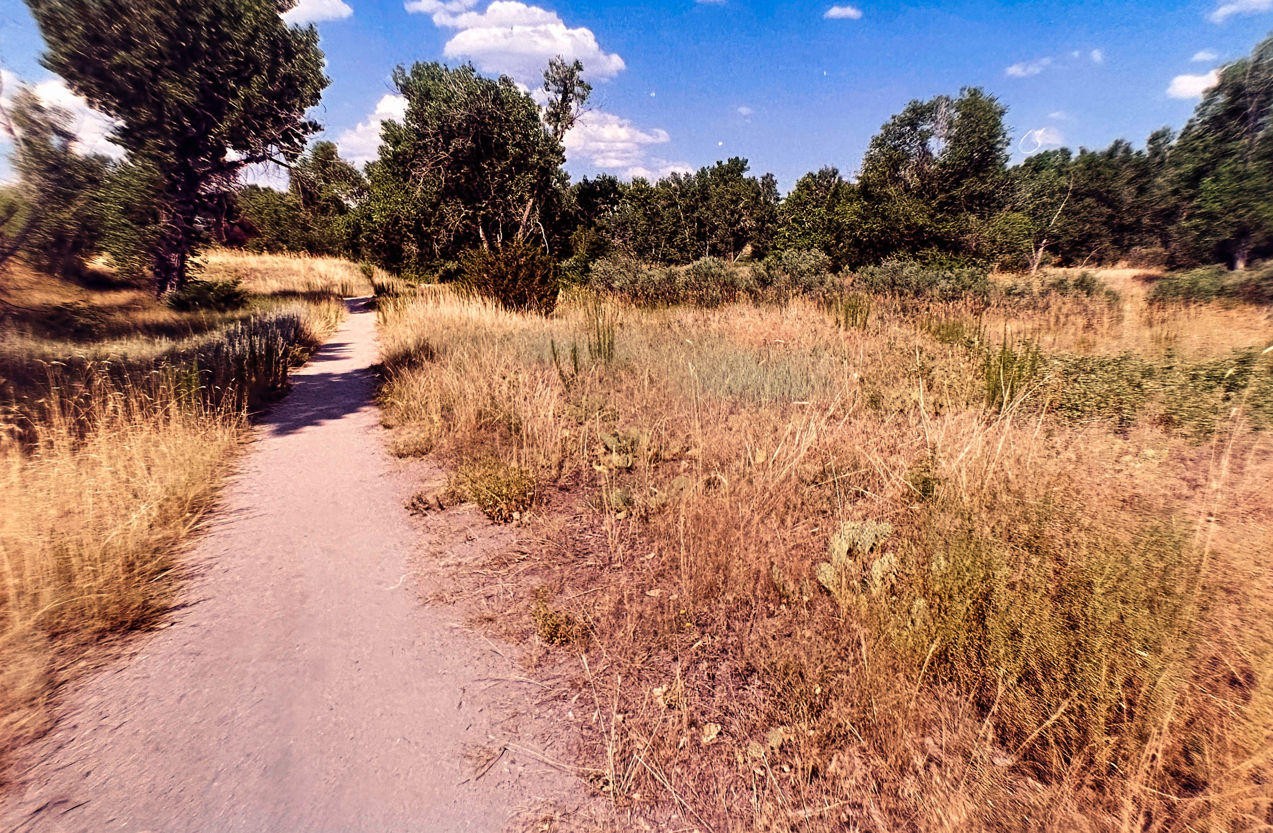 Paul A Hentzell Park
Camera: Canon A-1
Film: Kodak UltraMax
Speed: 400
Size: 135
Format: Full Frame