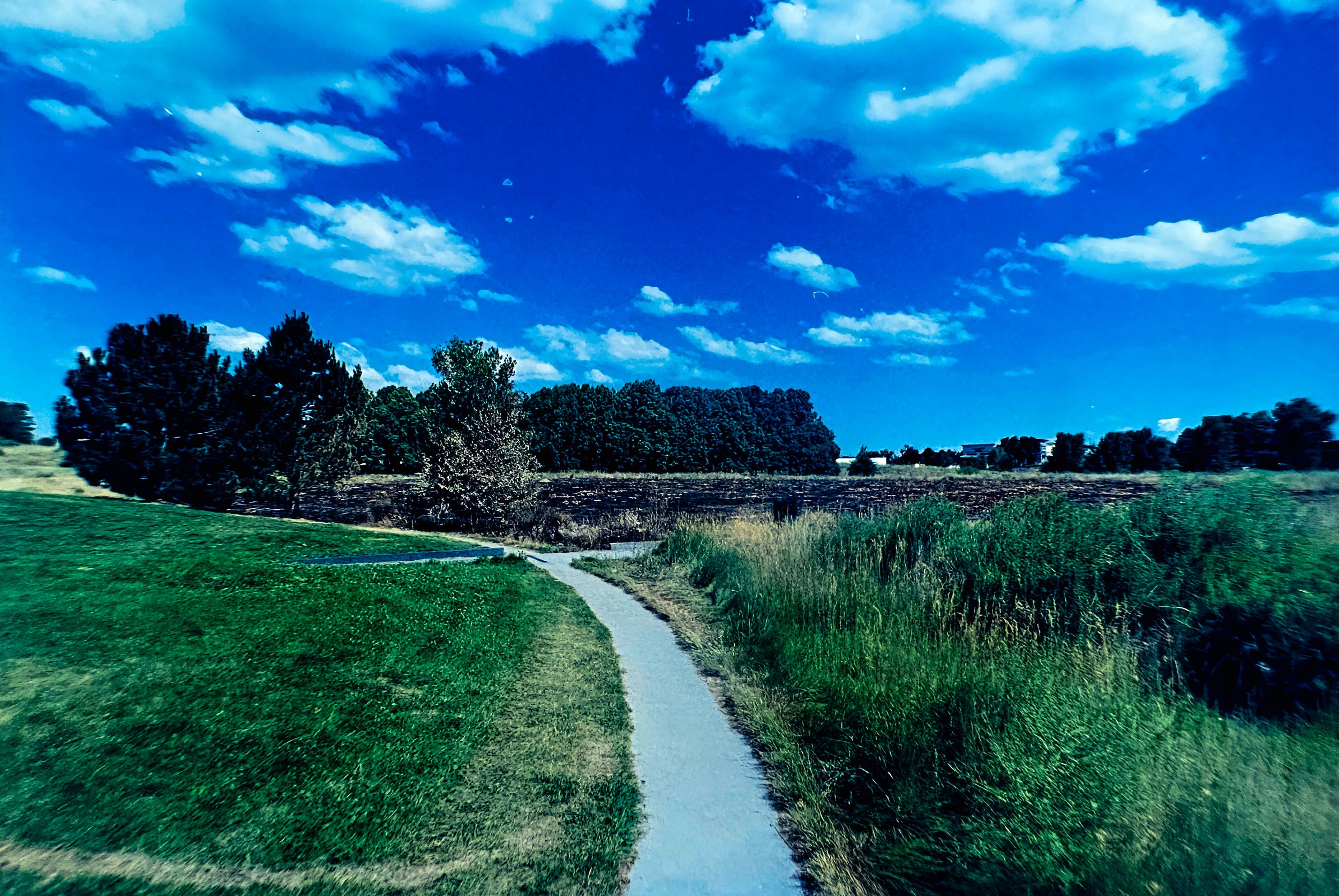 Paul A Hentzell Park
Camera: Canon A-1
Film: Kodak UltraMax
Speed: 400
Size: 135
Format: Full Frame