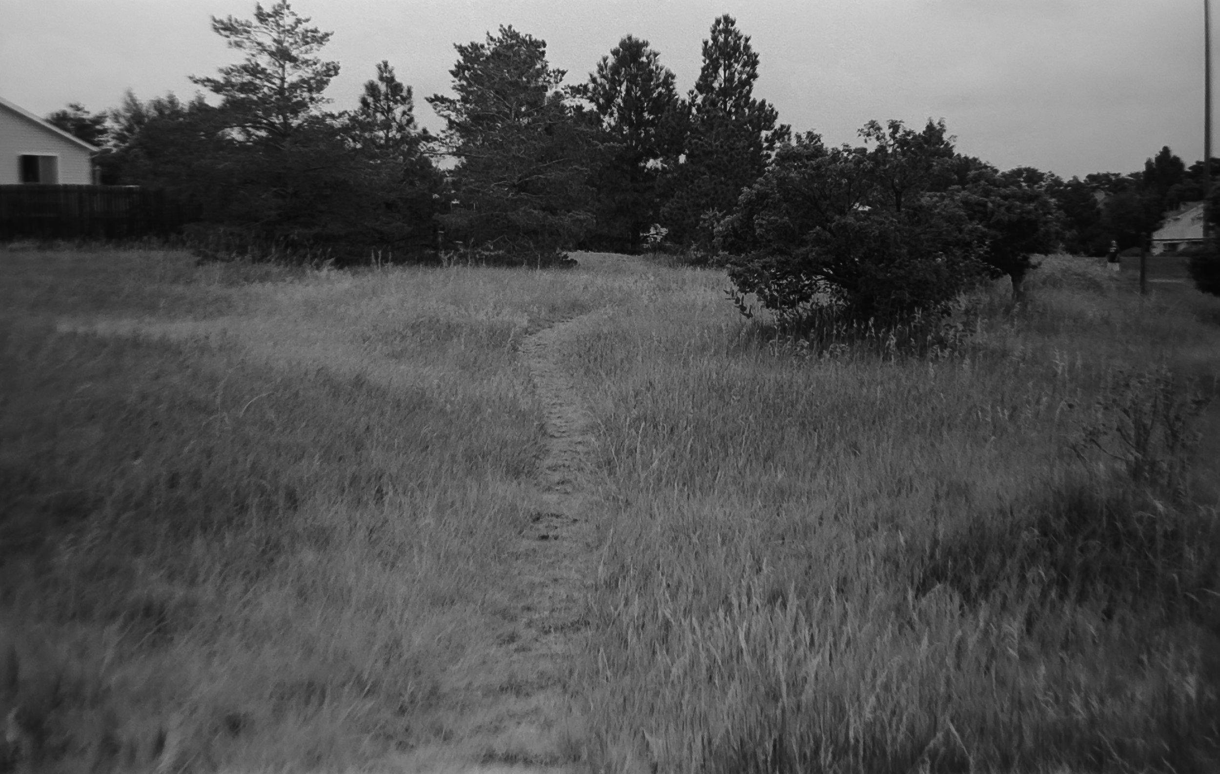 Camera: Pentax Zoom 90-WR
Film: Kodak Tri-X
Speed: 400
Size 135
Format: Full Frame