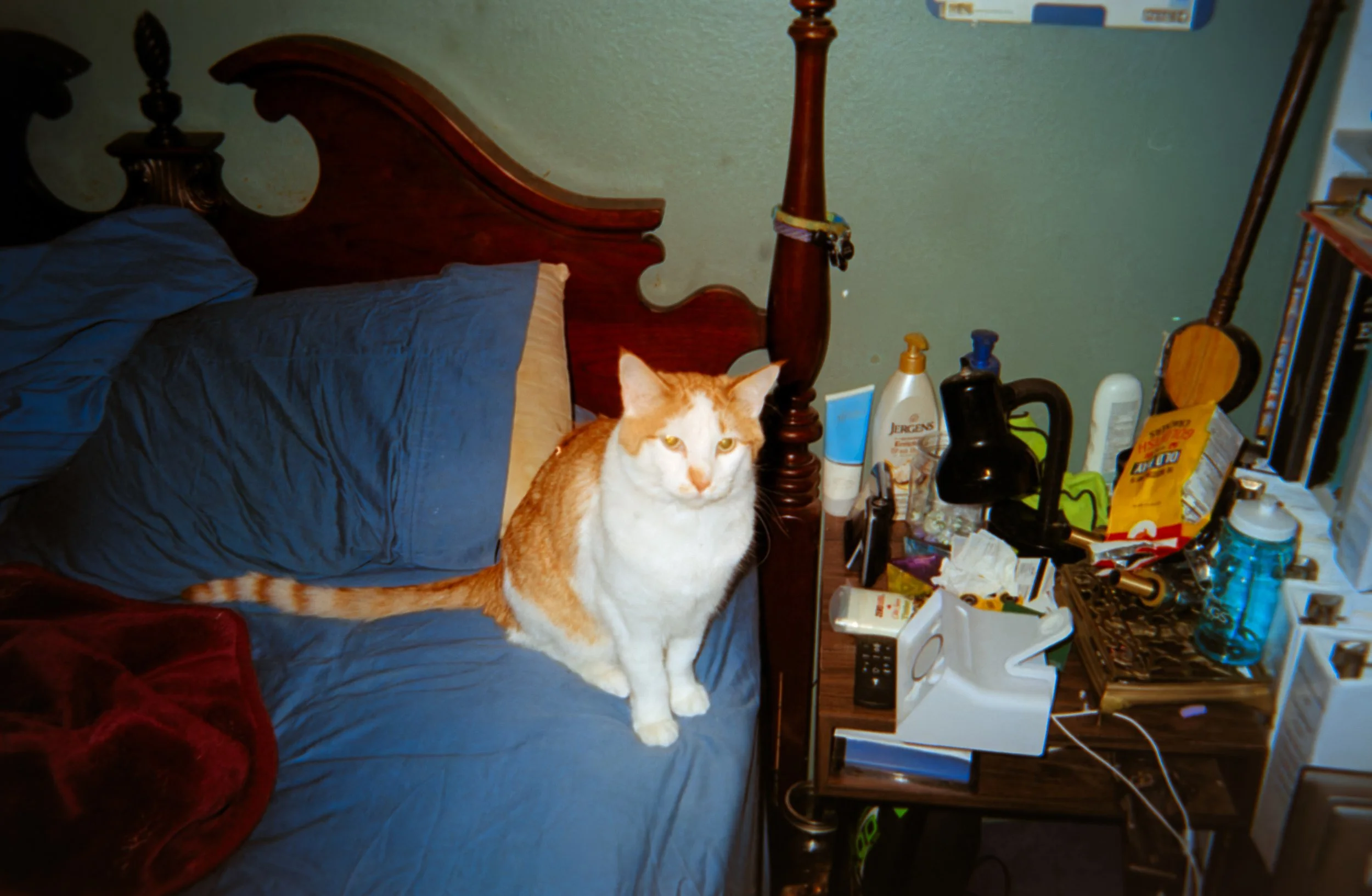 Chad
Camera: Konica Aiborg
Film: Kodak Ultra Max
Speed: 400
Size: 135
Format: Full Frame