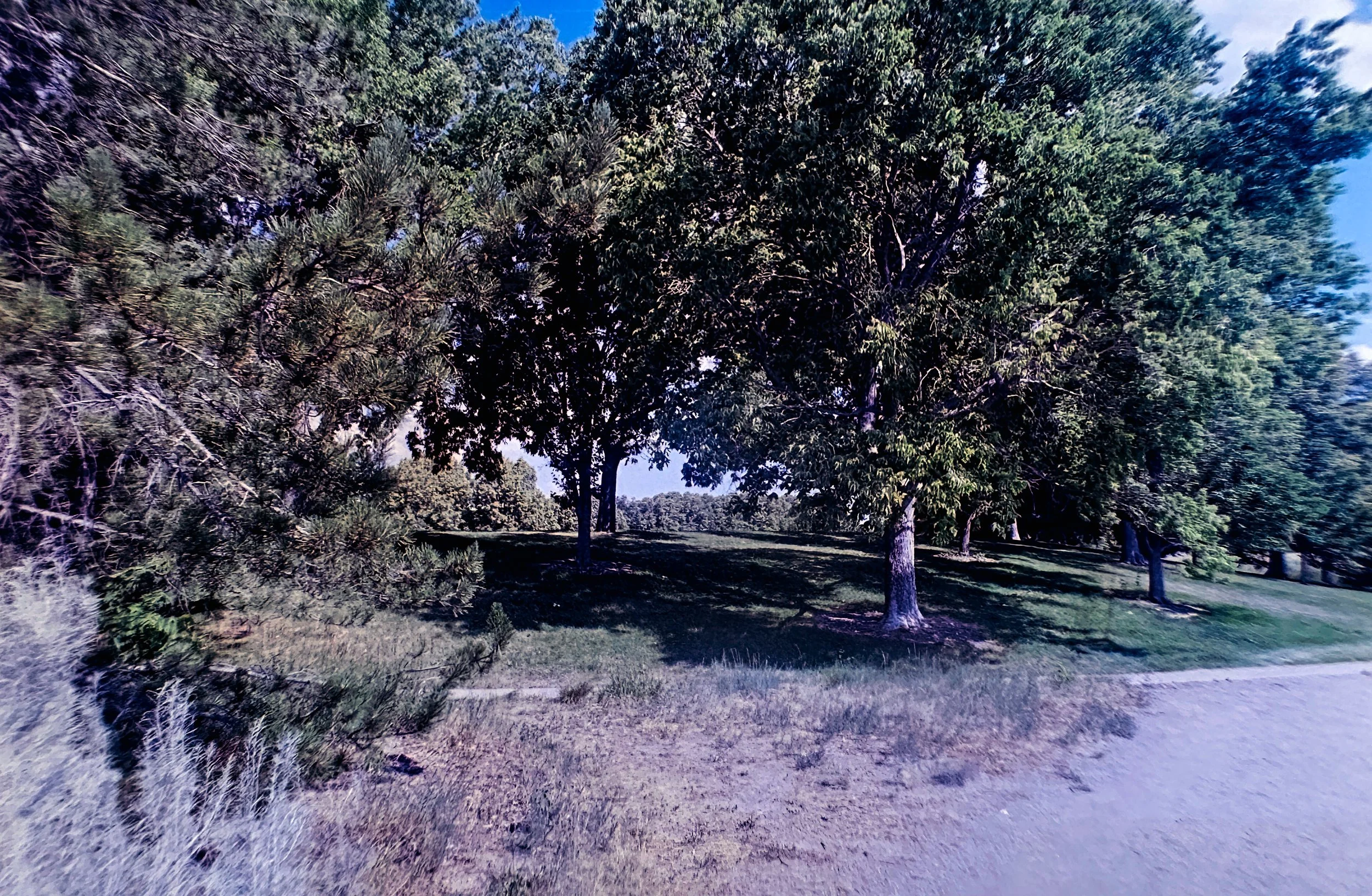Babi Yar Park
Camera: Canon A-1
Film: Kodak UltraMax
Speed: 400
Size: 135
Format: Full Frame