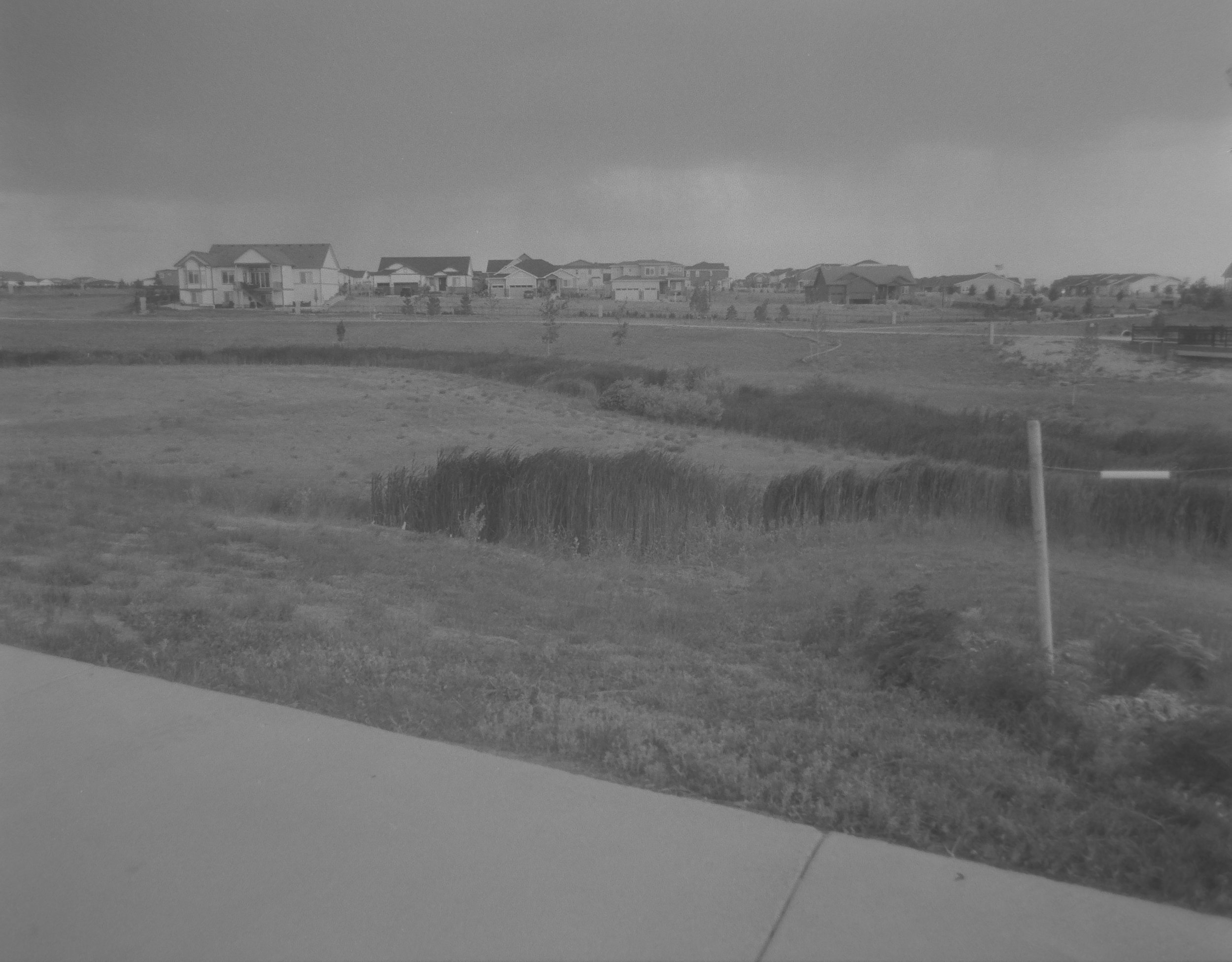 Wind
Camera: Canon A-1
Film: Kentmere Pan
Speed: 200
Size: 135
Format: Full Frame