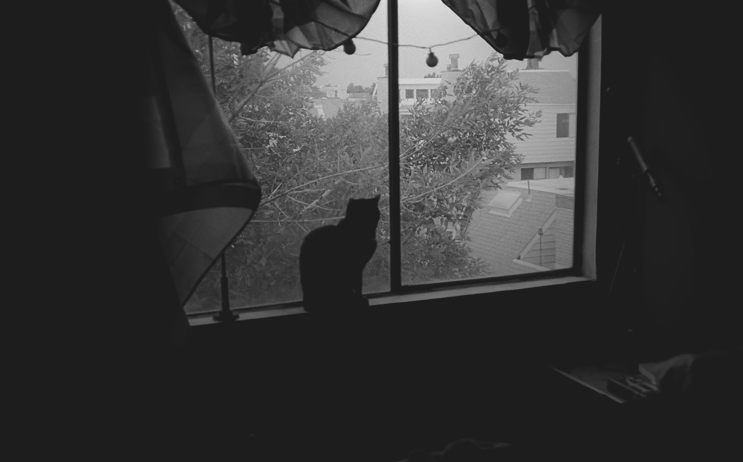 Camera: Pentax Zoom 90-WR
Film: Kodak Tri-X
Speed: 400
Size 135
Format: Full Frame