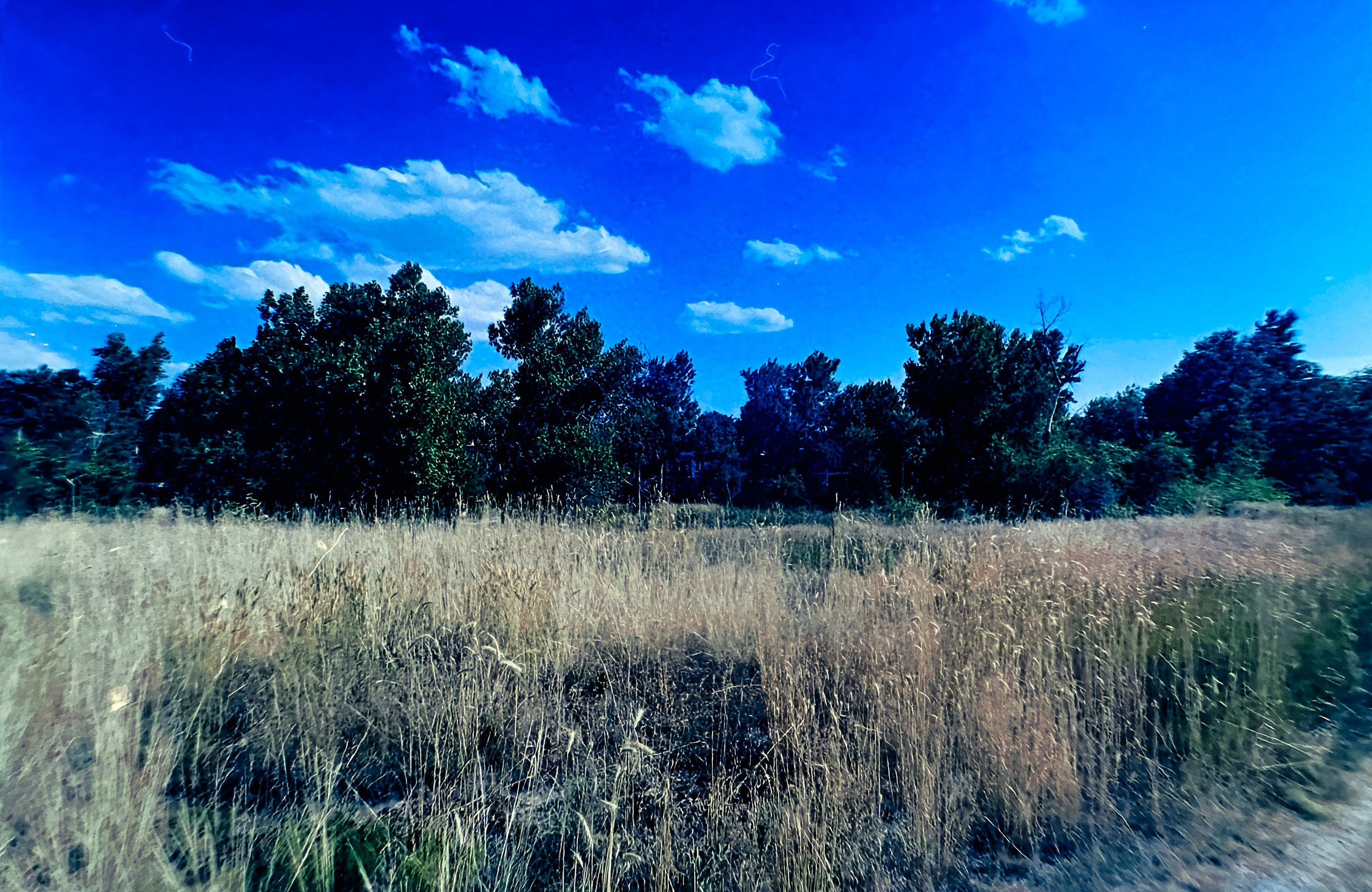 Paul A Hentzell Park
Camera: Canon A-1
Film: Kodak UltraMax
Speed: 400
Size: 135
Format: Full Frame