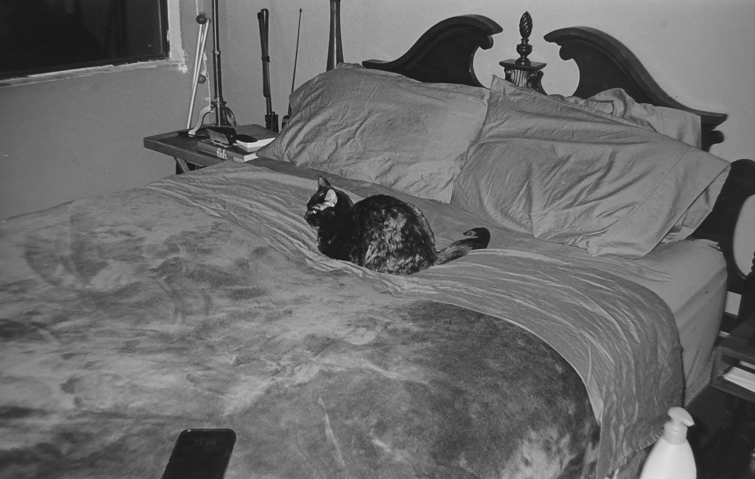 Karen
Camera: Pentax Zoom 90 WR
Film: Kodak Tri-X
Speed: 400
Size: 135
Format: Full Frame