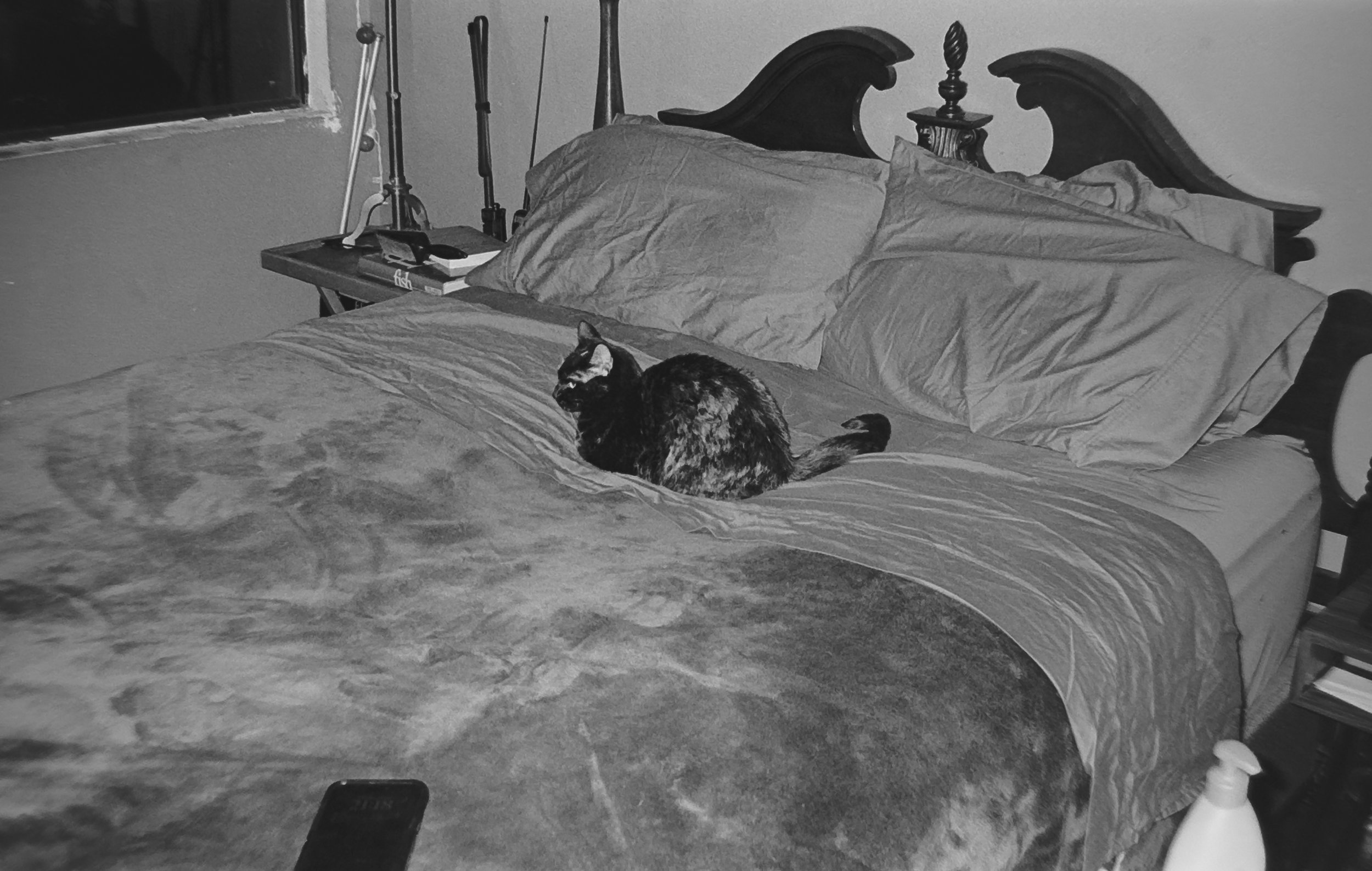 Camera: Pentax Zoom 90-WR
Film: Kodak Tri-X
Speed: 400
Size 135
Format: Full Frame