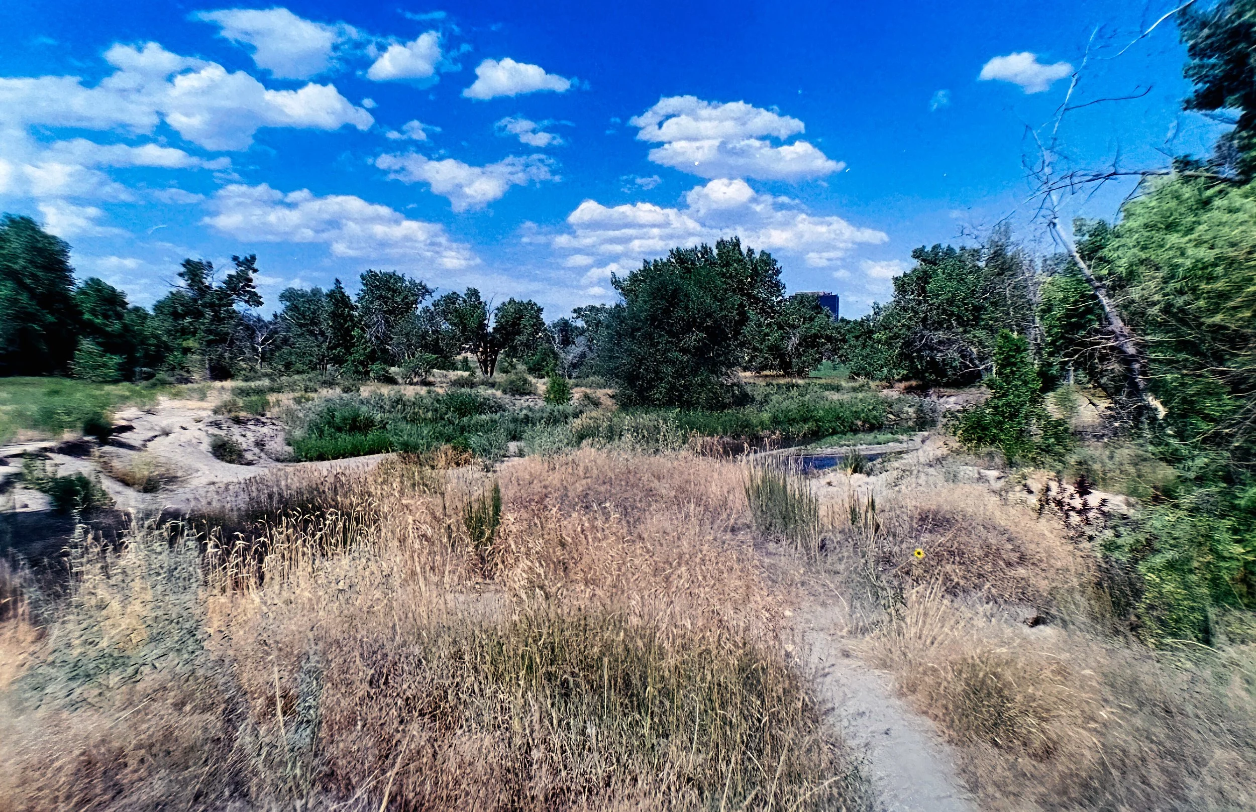 Paul A Hentzell Park
Camera: Canon A-1
Film: Kodak UltraMax
Speed: 400
Size: 135
Format: Full Frame