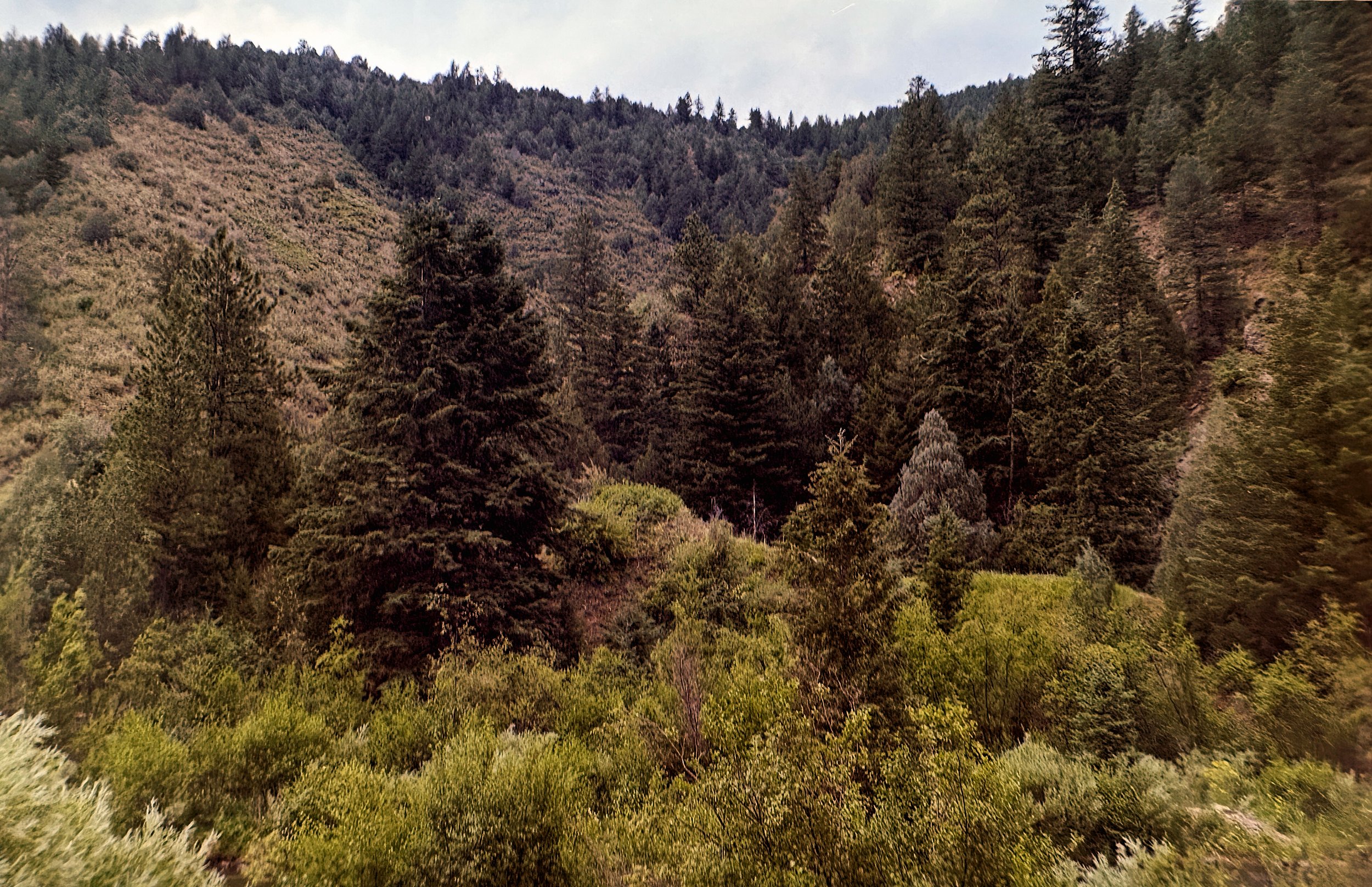 Clear Creek Canyon
Zeiss Ikon Ikonta 523/2
Film: Kodak Gold
Speed: 200
Size: 120
Format: 6x9