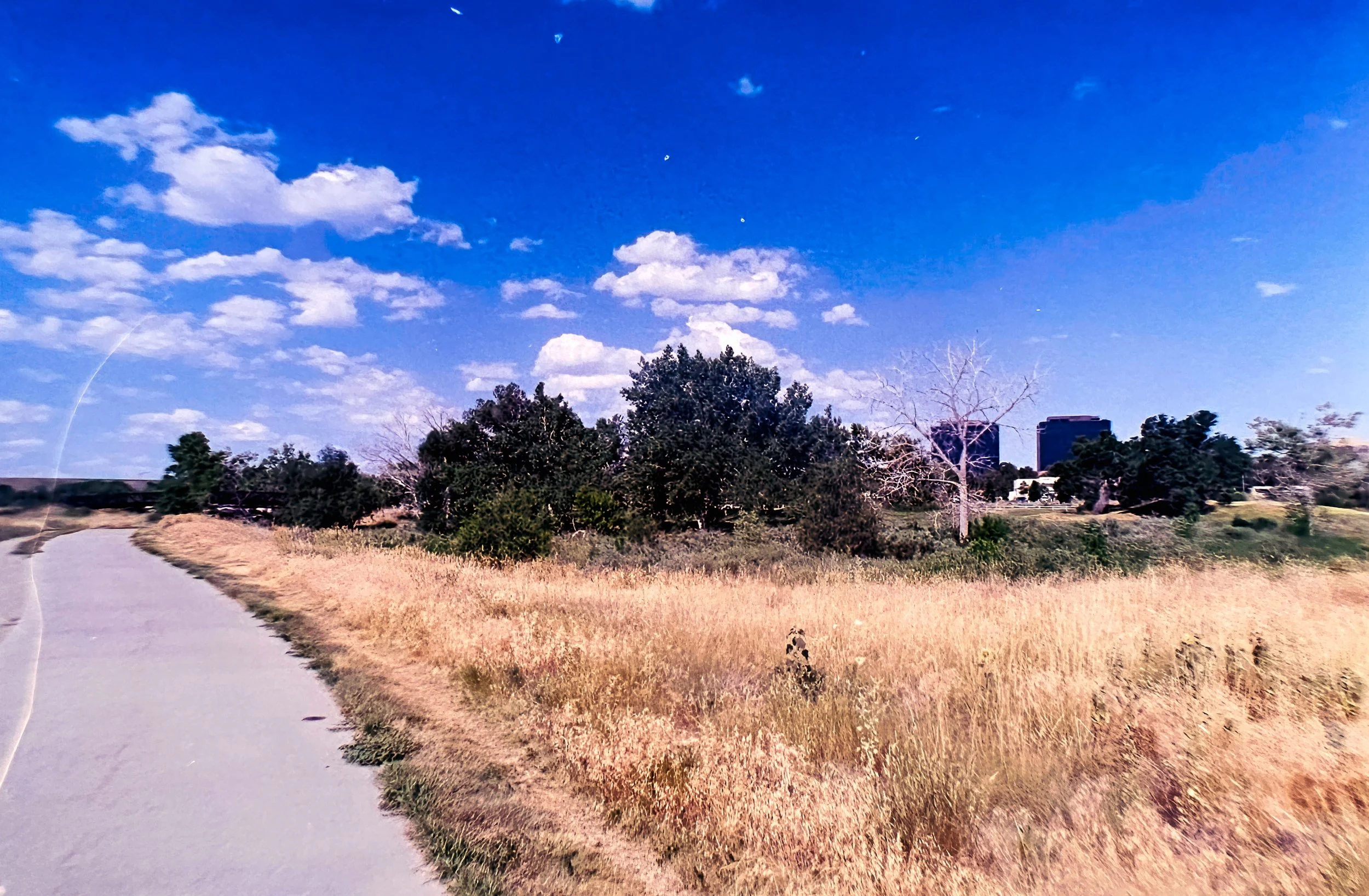 Paul A Hentzell Park
Camera: Canon A-1
Film: Kodak UltraMax
Speed: 400
Size: 135
Format: Full Frame