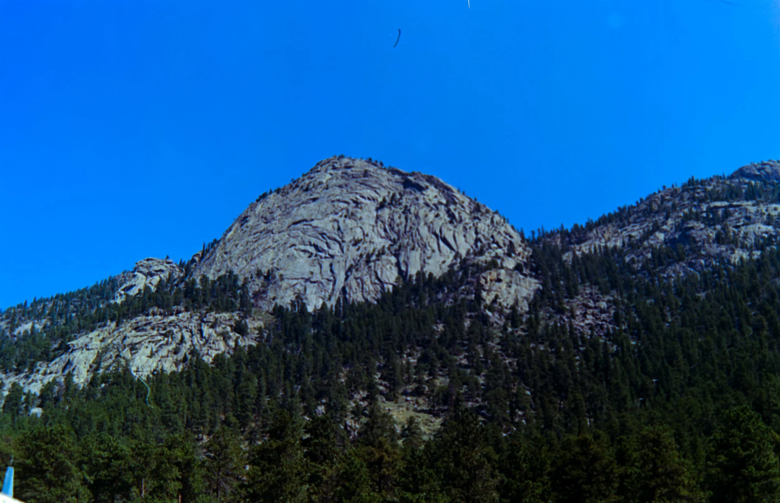 IMG_7251.jpg