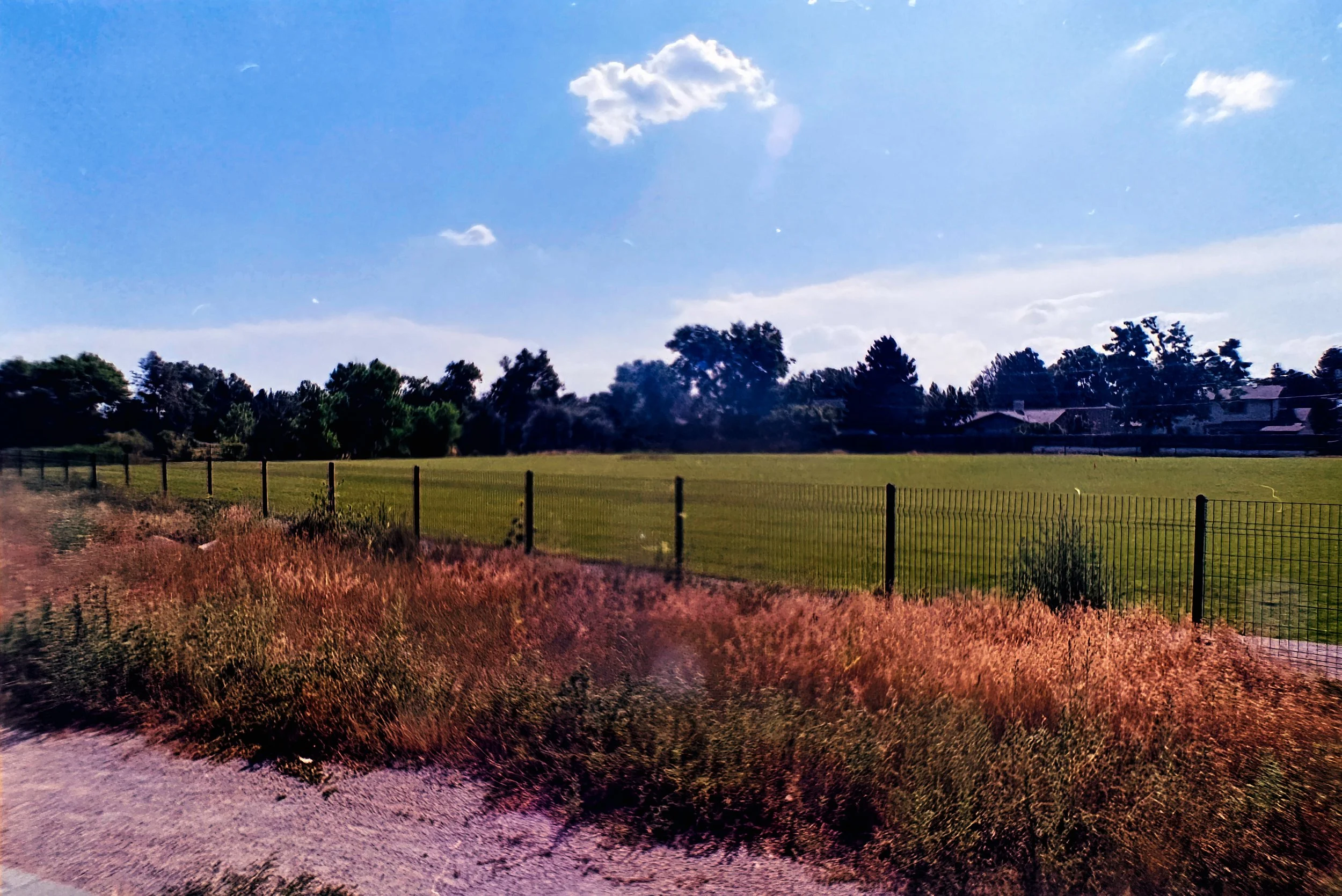 Paul A Hentzell Park
Camera: Canon A-1
Film: Kodak UltraMax
Speed: 400
Size: 135
Format: Full Frame