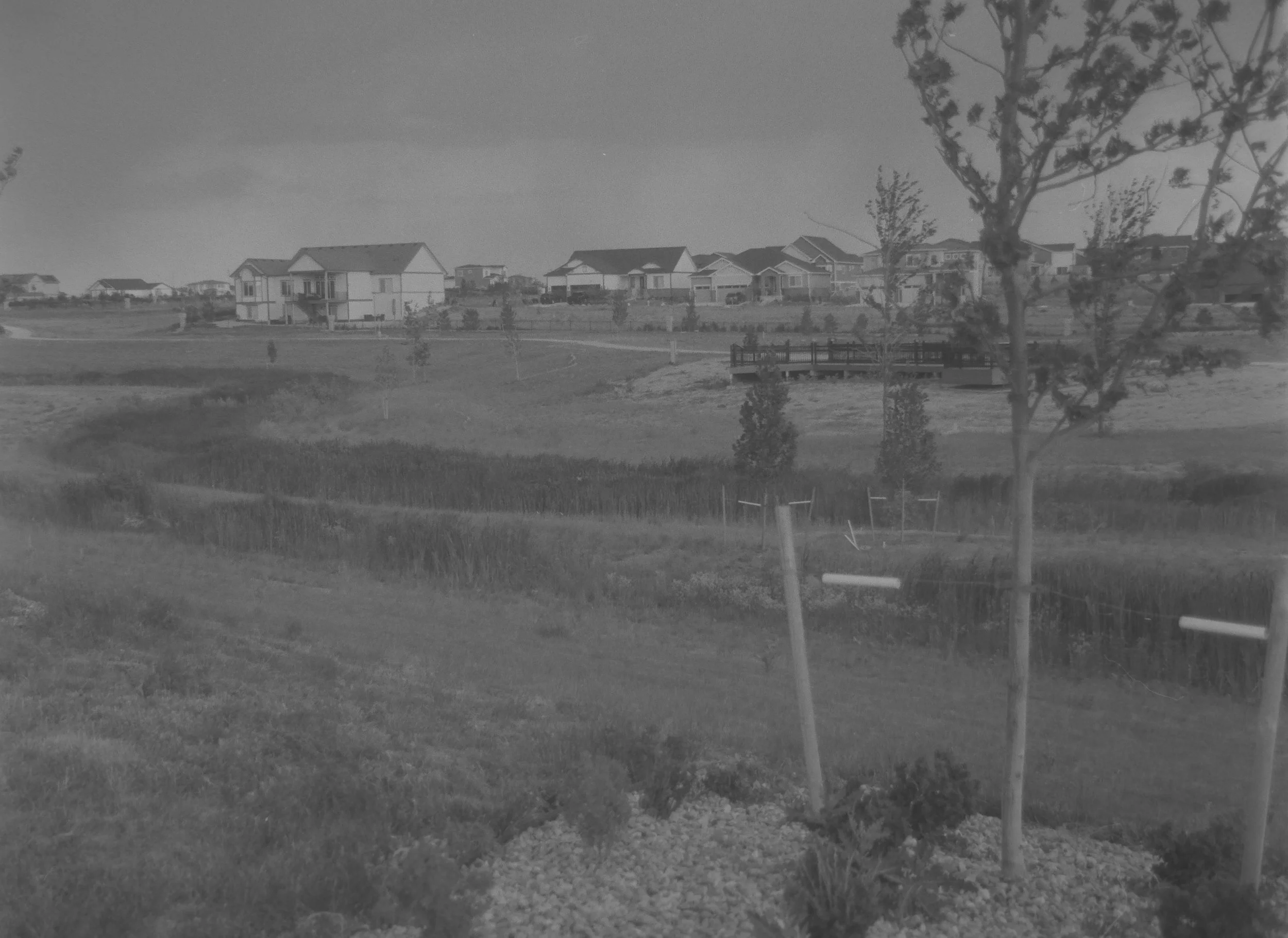 Wind
Camera: Canon A-1
Film: Kentmere Pan
Speed: 200
Size: 135
Format: Full Frame