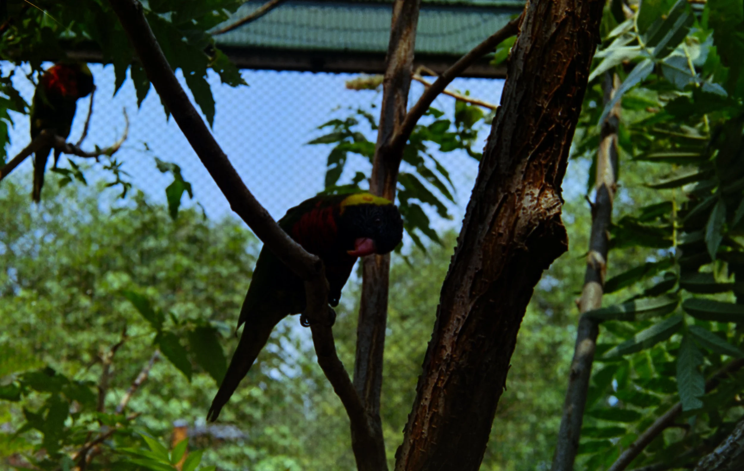 IMG_7270.jpg