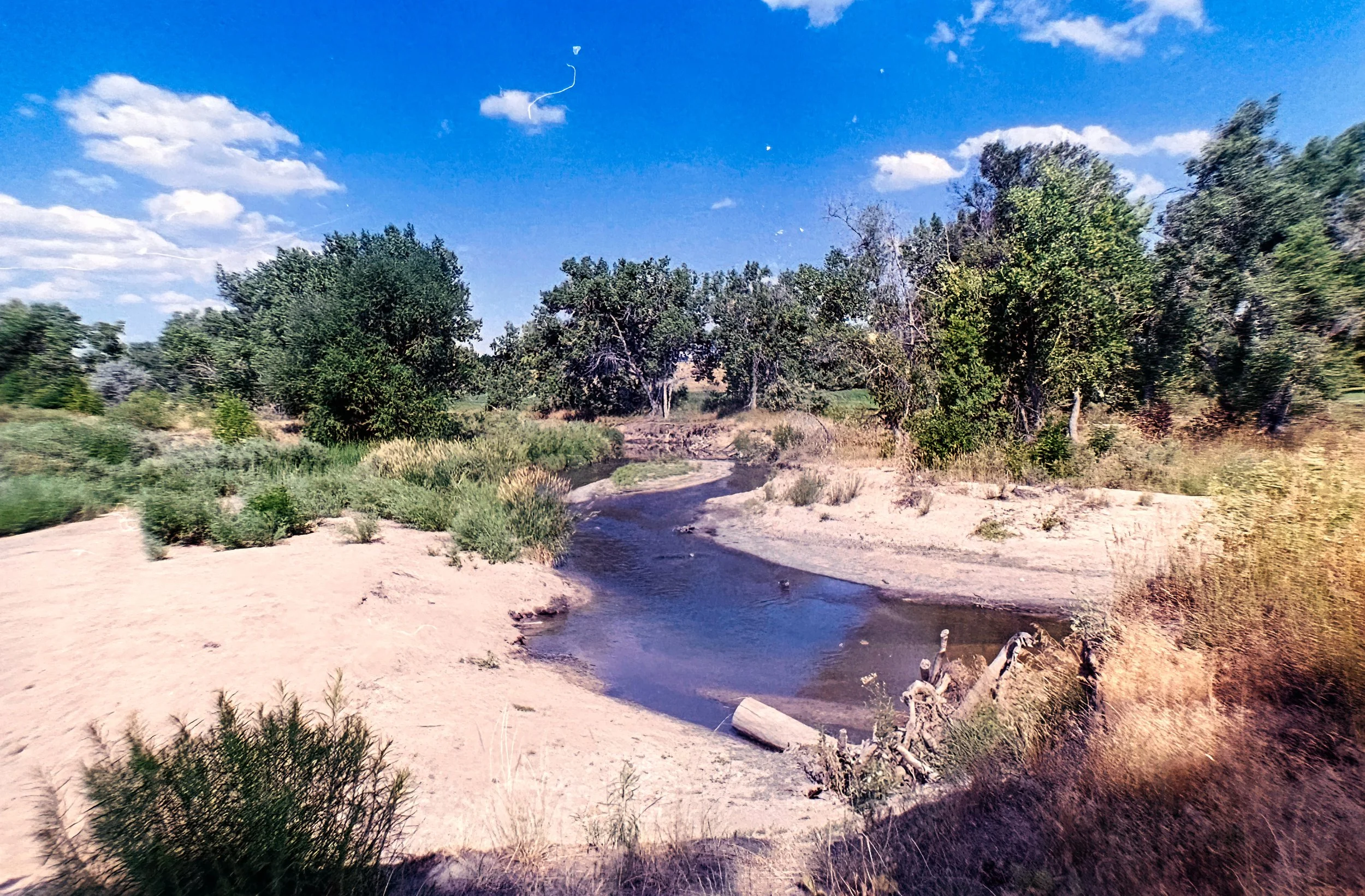 Paul A Hentzell Park
Camera: Canon A-1
Film: Kodak UltraMax
Speed: 400
Size: 135
Format: Full Frame