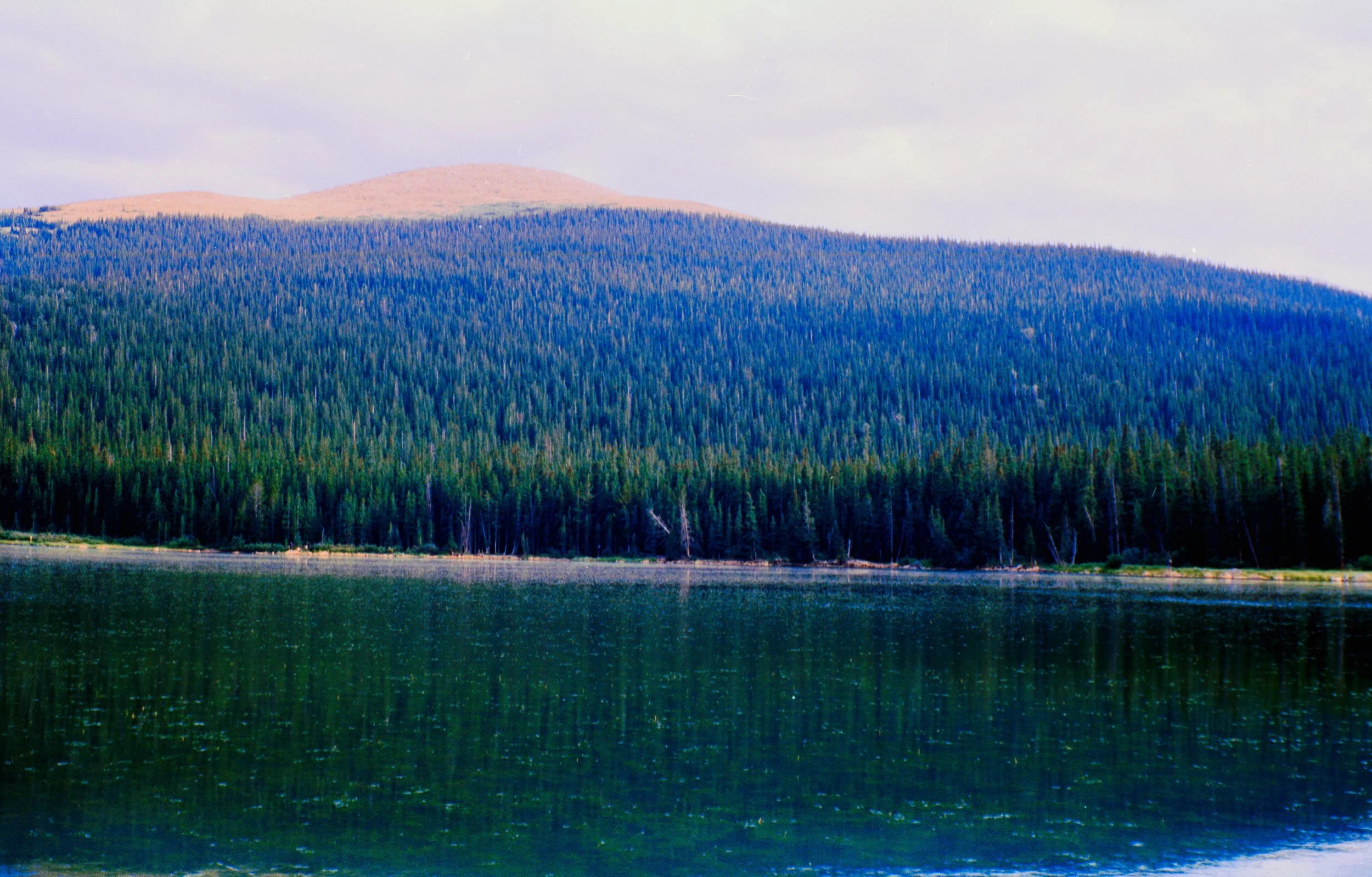 Echo Lake
Camera: Zeiss Ikon Ikonta 523/2
Film: Harman Phoenix II
Speed: 200
Size: 120
Format: 6x9