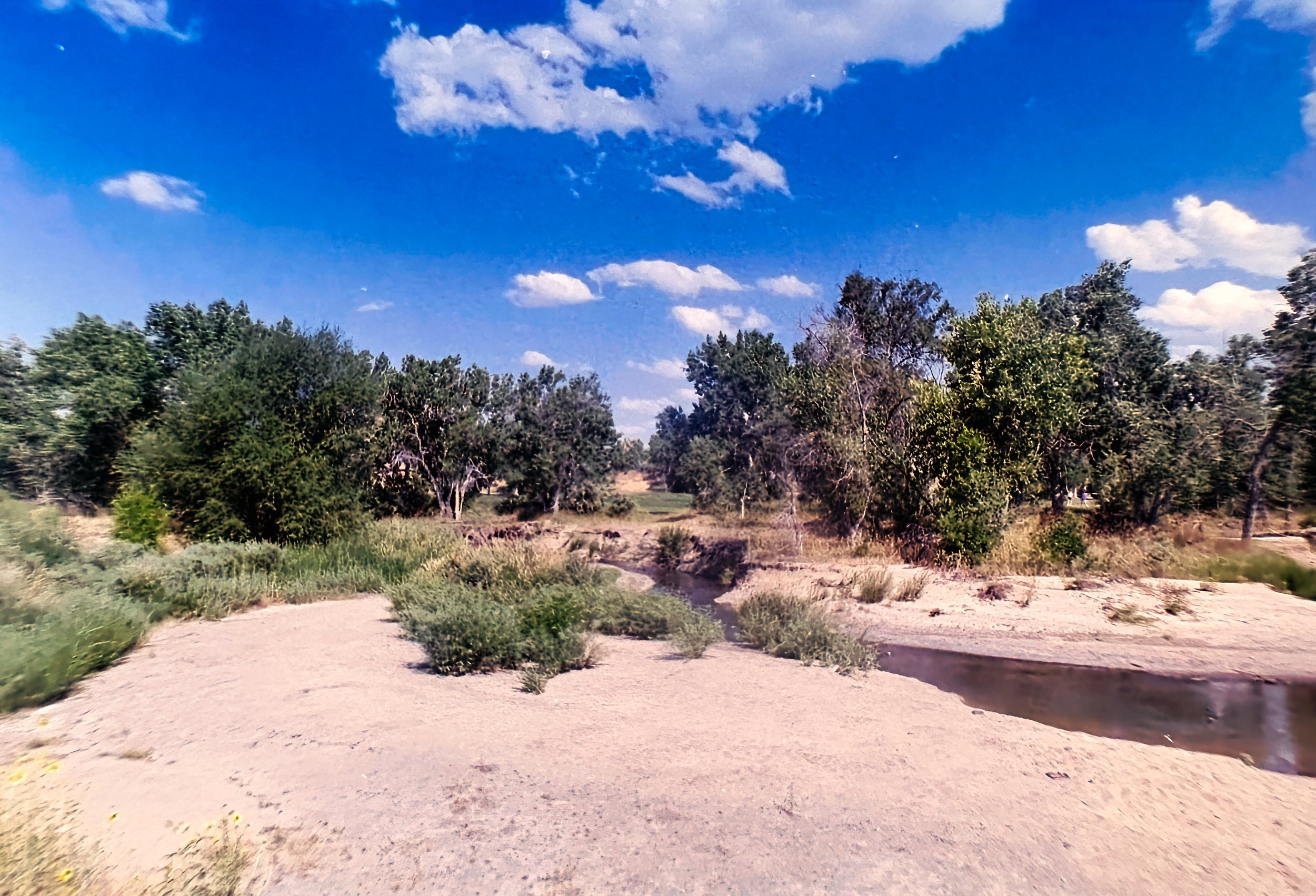 Paul A Hentzell Park
Camera: Canon A-1
Film: Kodak UltraMax
Speed: 400
Size: 135
Format: Full Frame