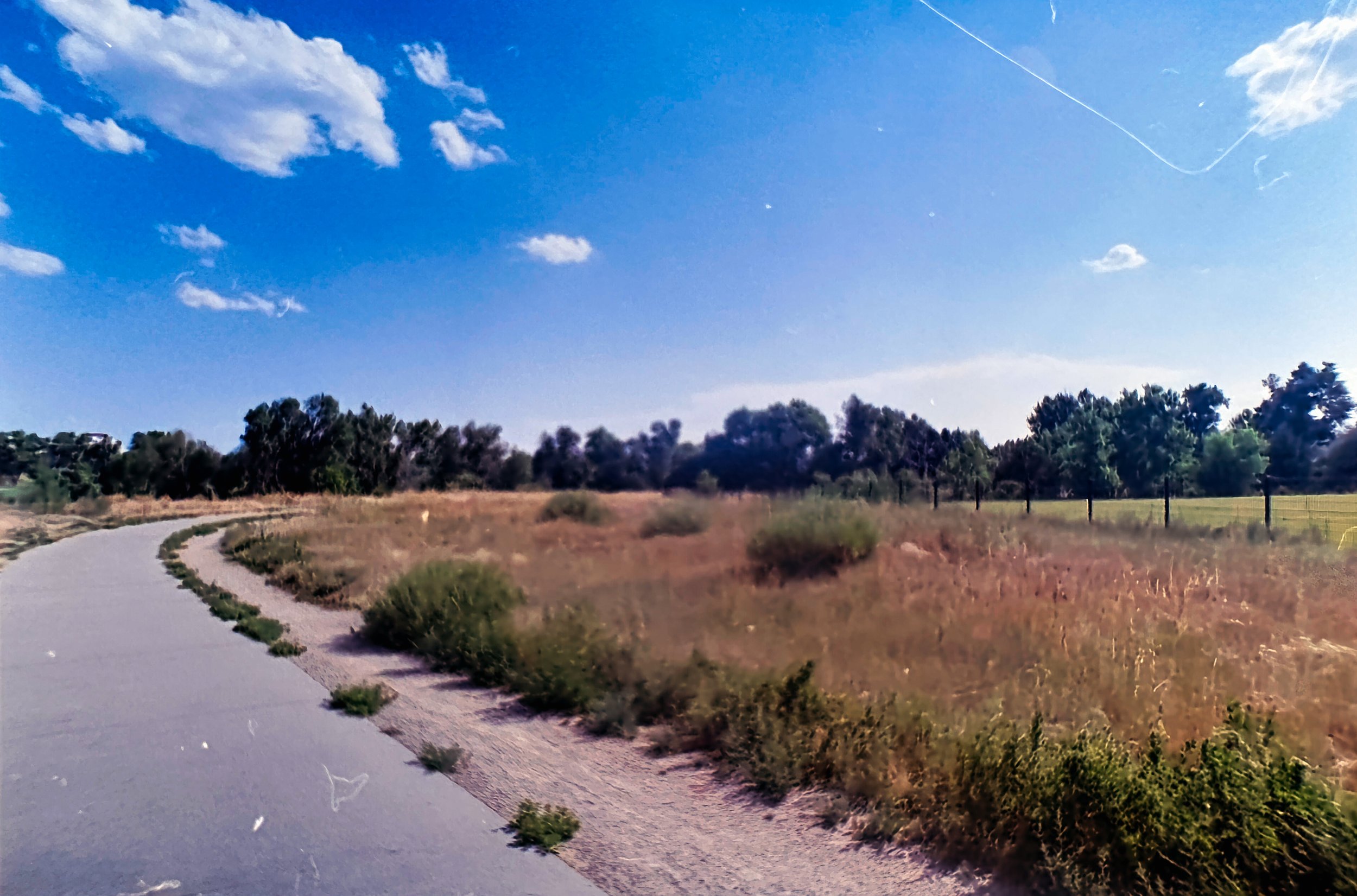 Paul A Hentzell Park
Camera: Canon A-1
Film: Kodak UltraMax
Speed: 400
Size: 135
Format: Full Frame