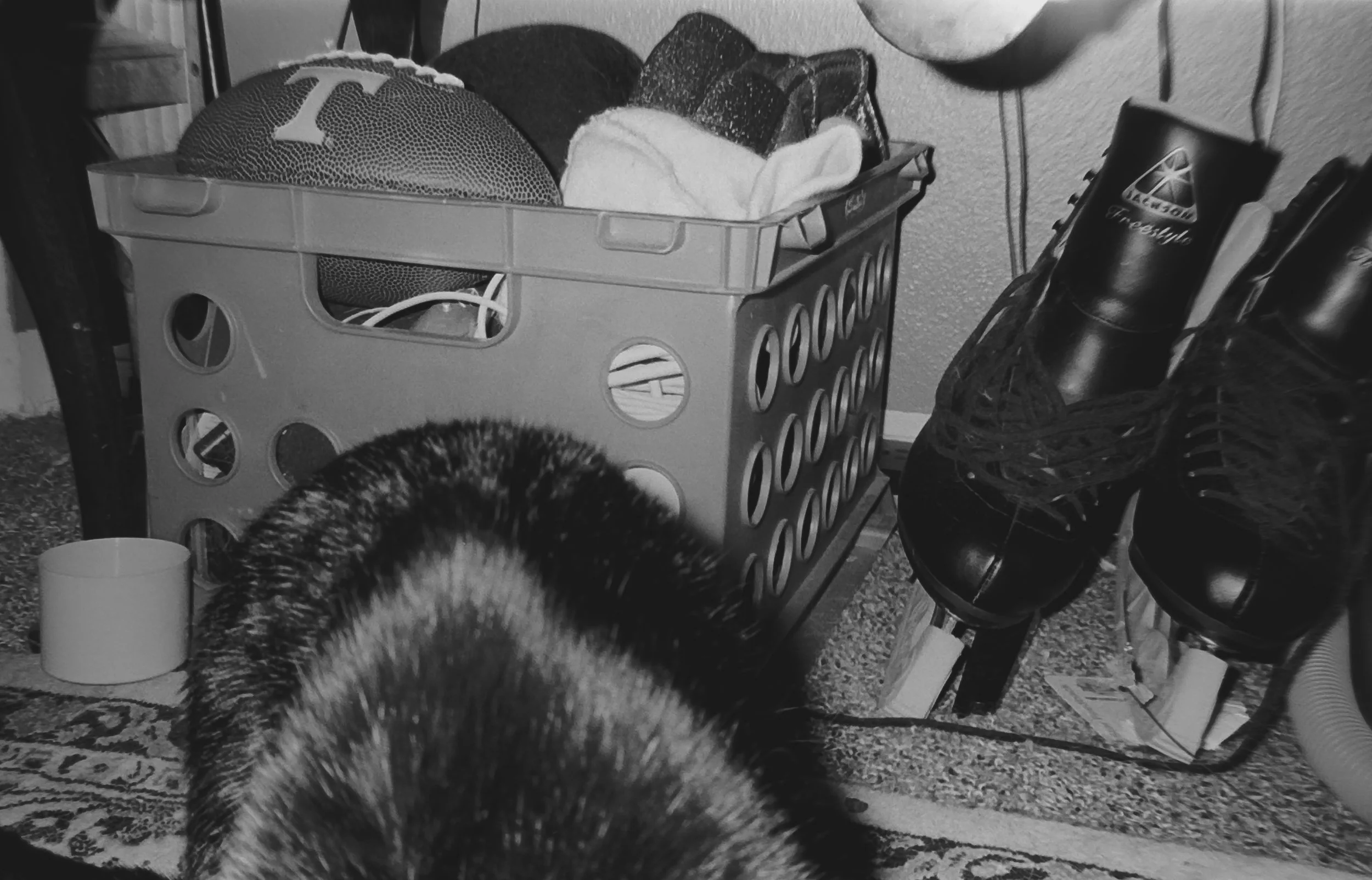 Camera: Pentax Zoom 90-WR
Film: Kodak Tri-X
Speed: 400
Size 135
Format: Full Frame