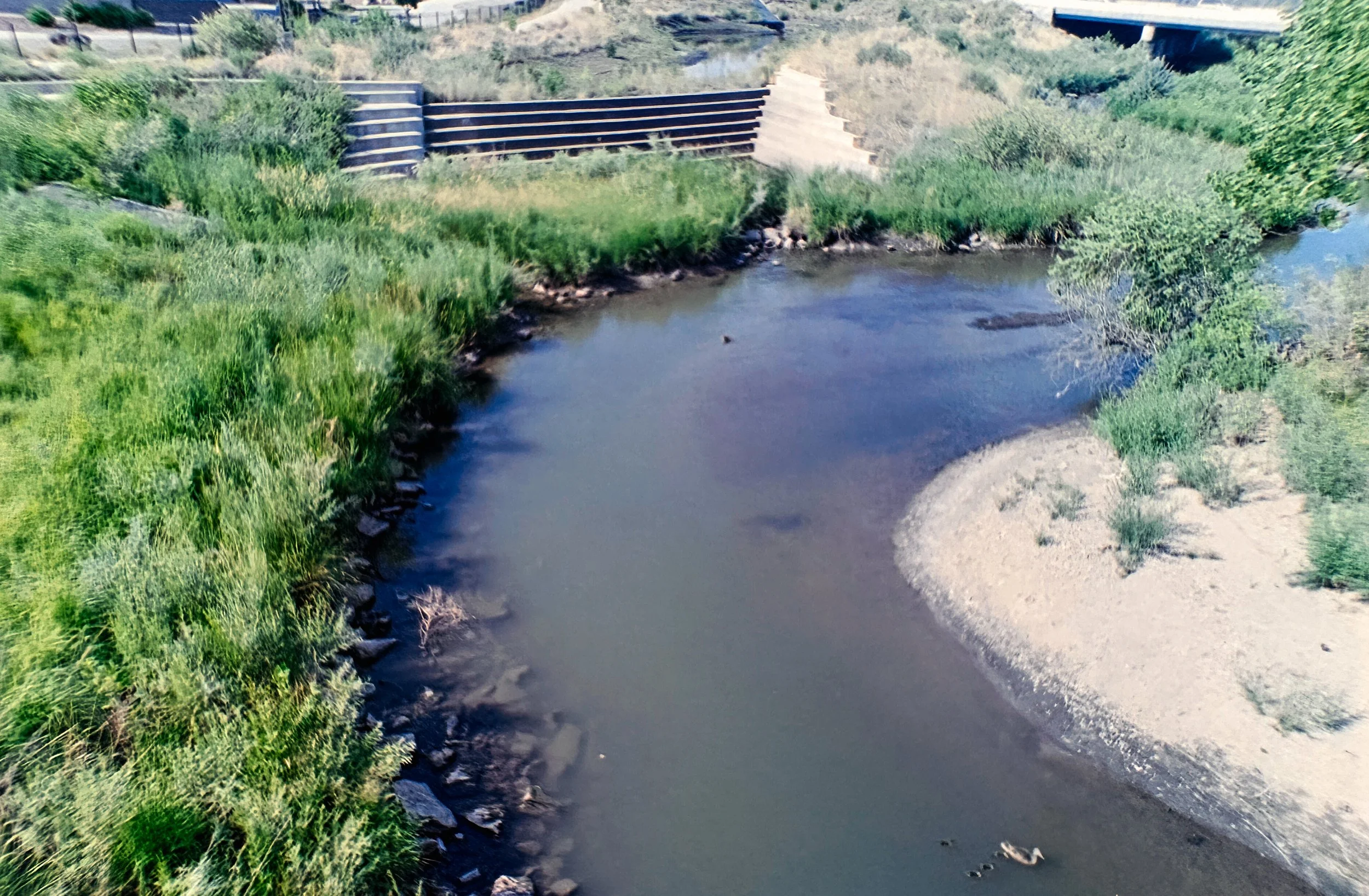 Momma Duck and Ducklings
Paul A Hentzell Park
Camera: Canon A-1
Film: Kodak UltraMax
Speed: 400
Size: 135
Format: Full Frame