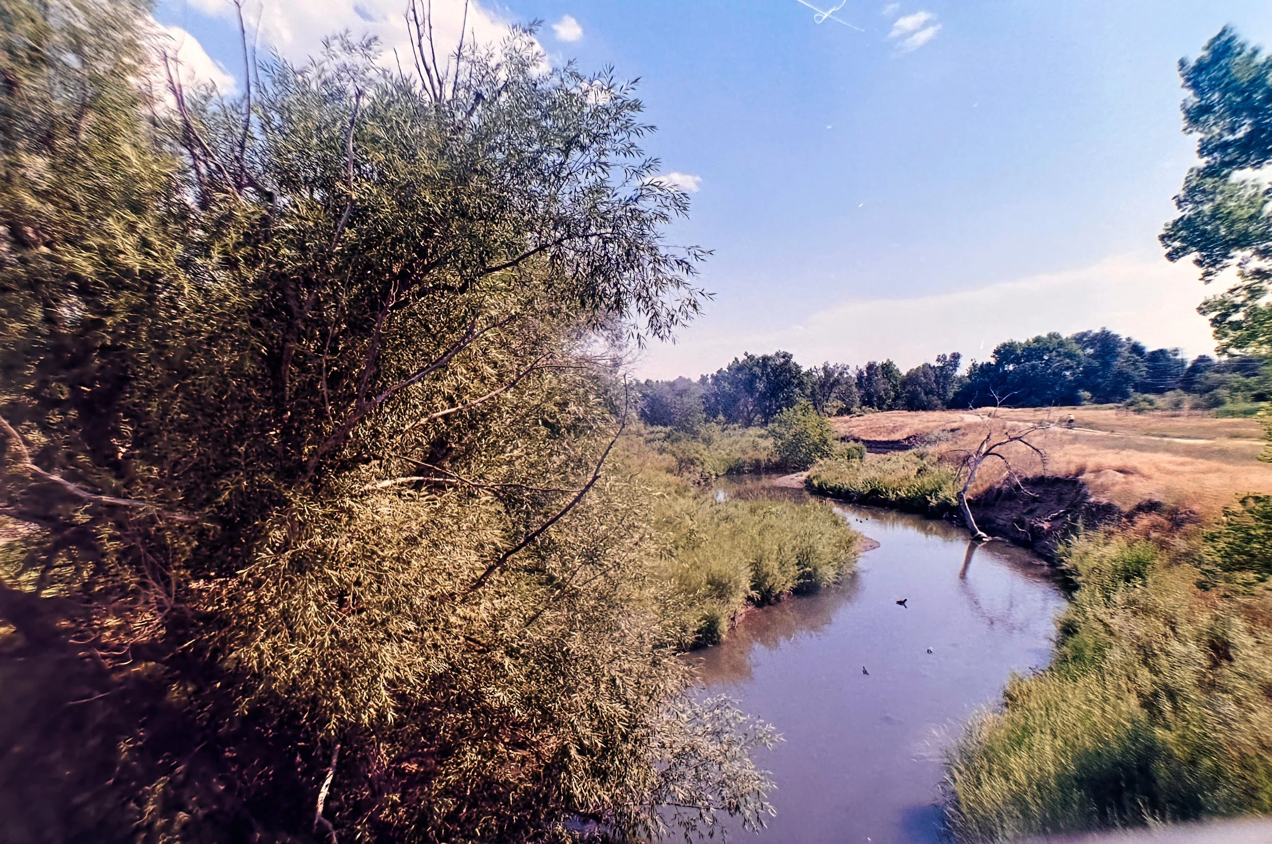 Paul A Hentzell Park
Camera: Canon A-1
Film: Kodak UltraMax
Speed: 400
Size: 135
Format: Full Frame