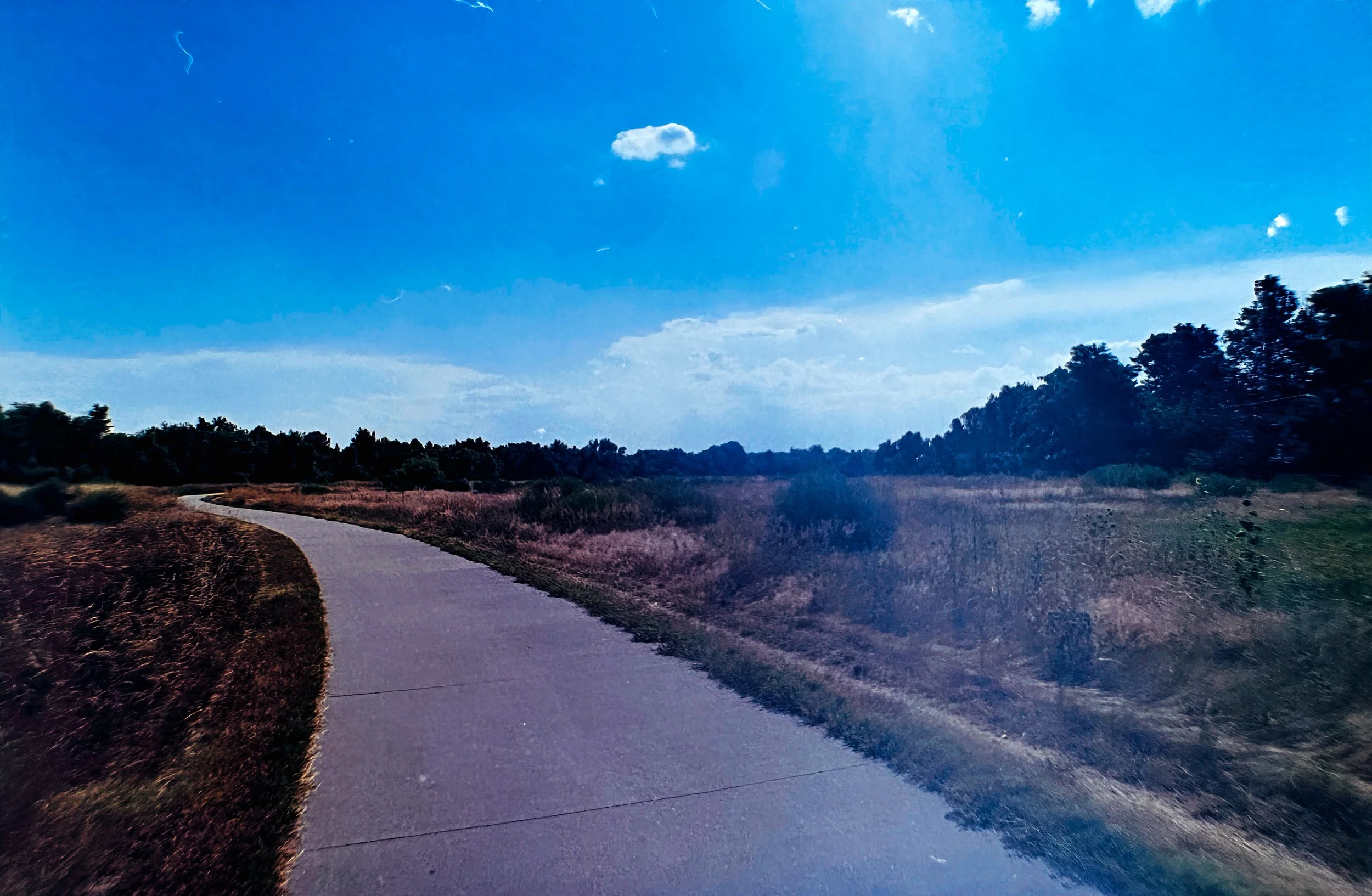 Paul A Hentzell Park
Camera: Canon A-1
Film: Kodak UltraMax
Speed: 400
Size: 135
Format: Full Frame