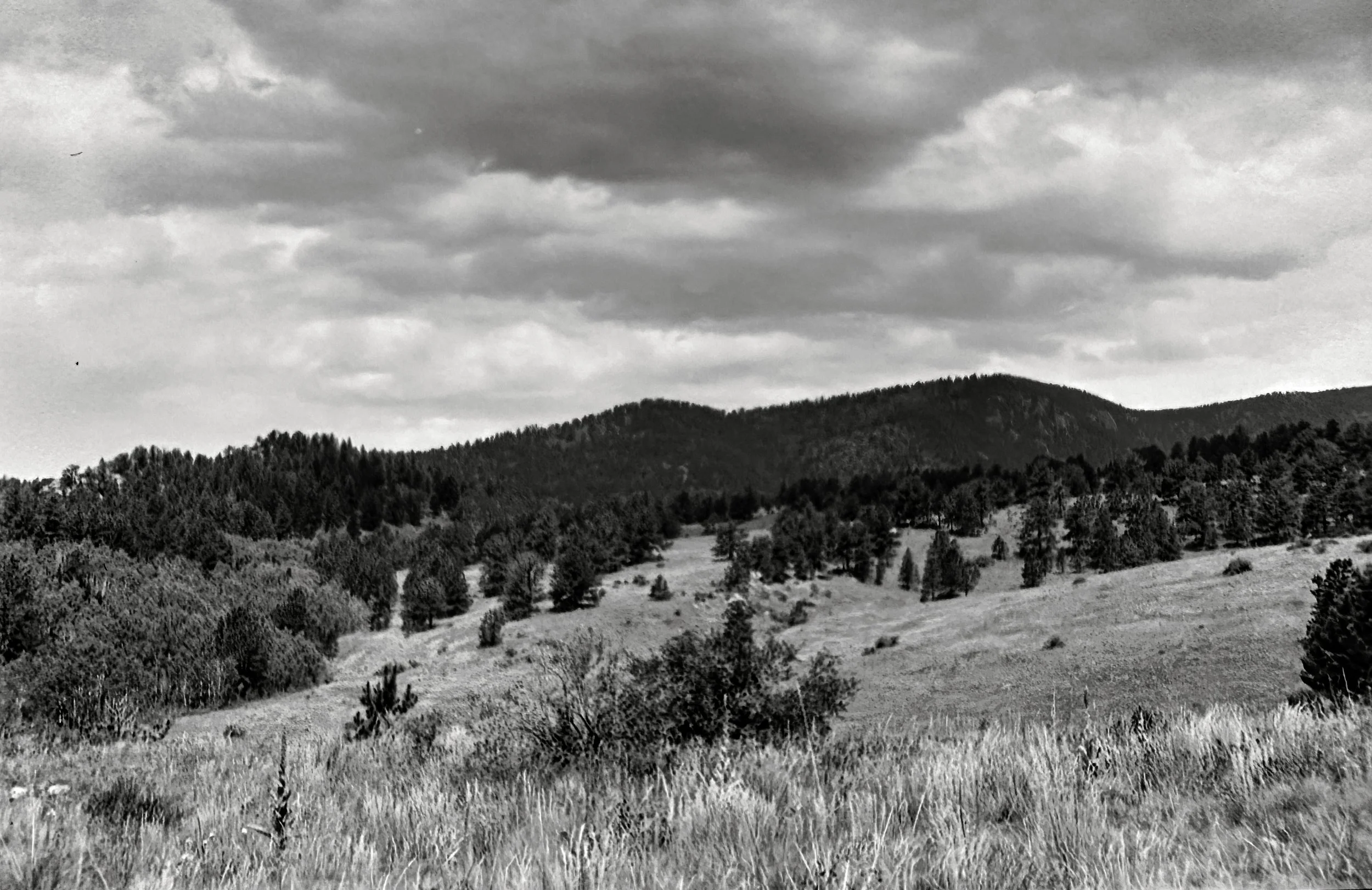 Central City Parkway
Zeiss Ikon Ikonta 523/2
Film: Ilford Ortho
Speed: 80
Size: 120
Format: 6x9