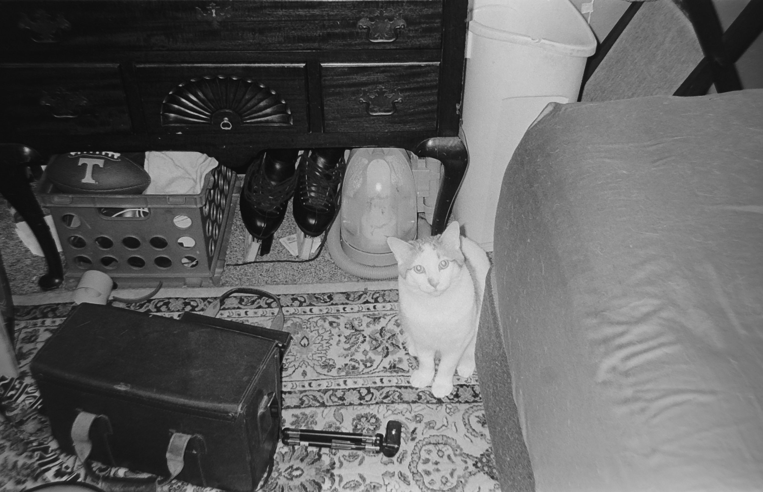 Camera: Pentax Zoom 90-WR
Film: Kodak Tri-X
Speed: 400
Size 135
Format: Full Frame