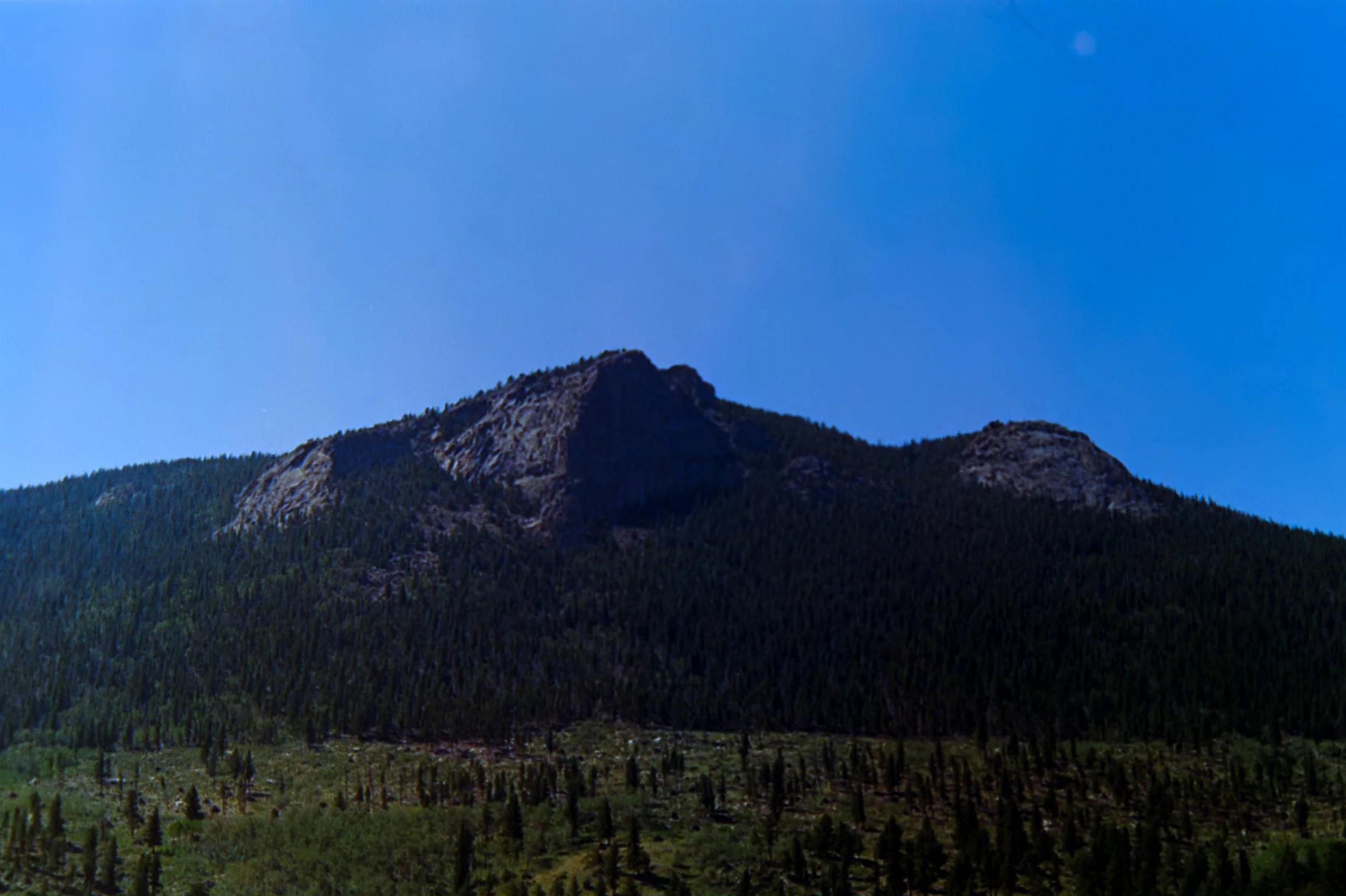 IMG_7250.jpg