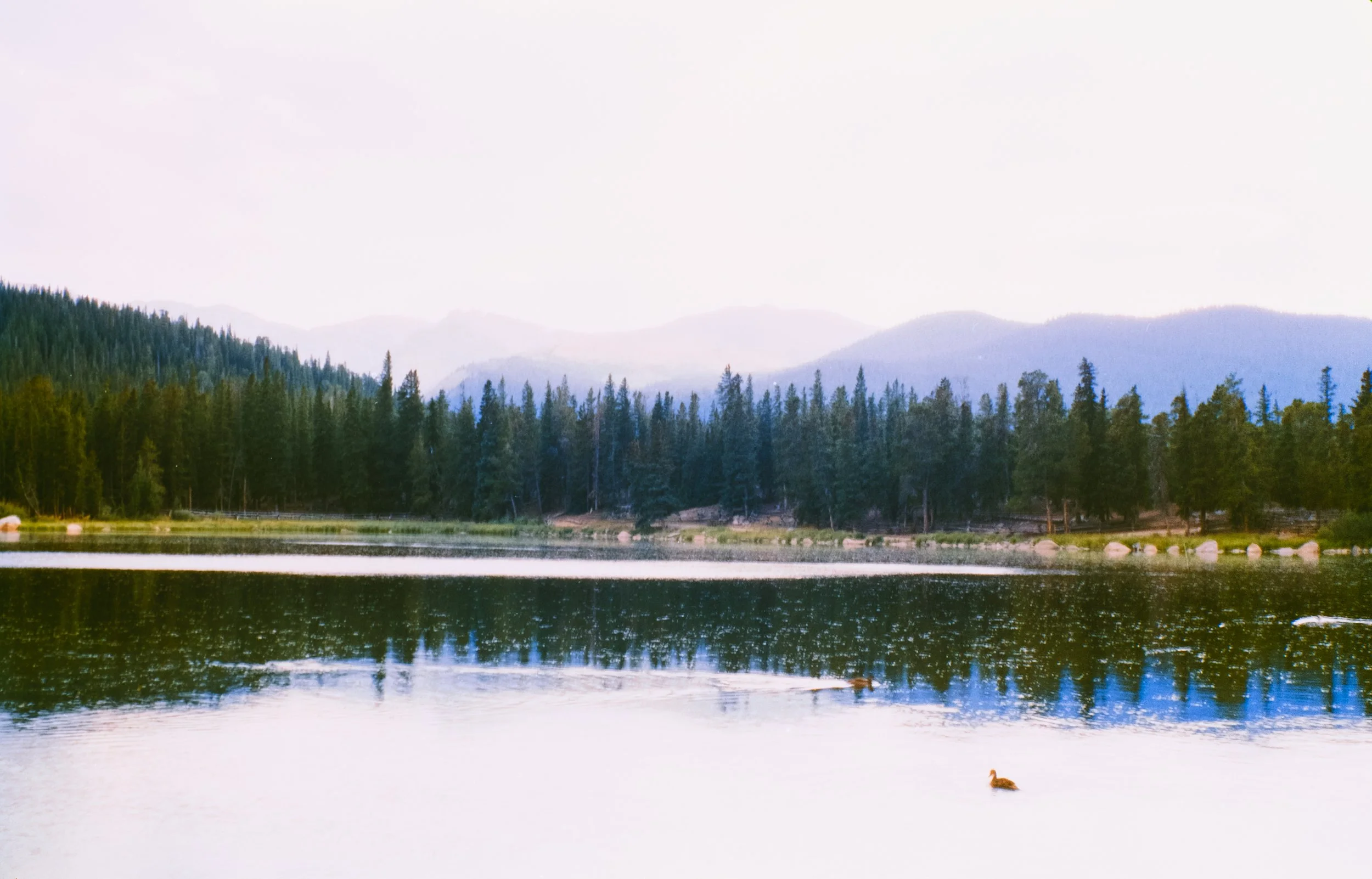 Echo Lake
Camera: Zeiss Ikon Ikonta 523/2
Film: Harman Phoenix II
Speed: 200
Size: 120
Format: 6x9