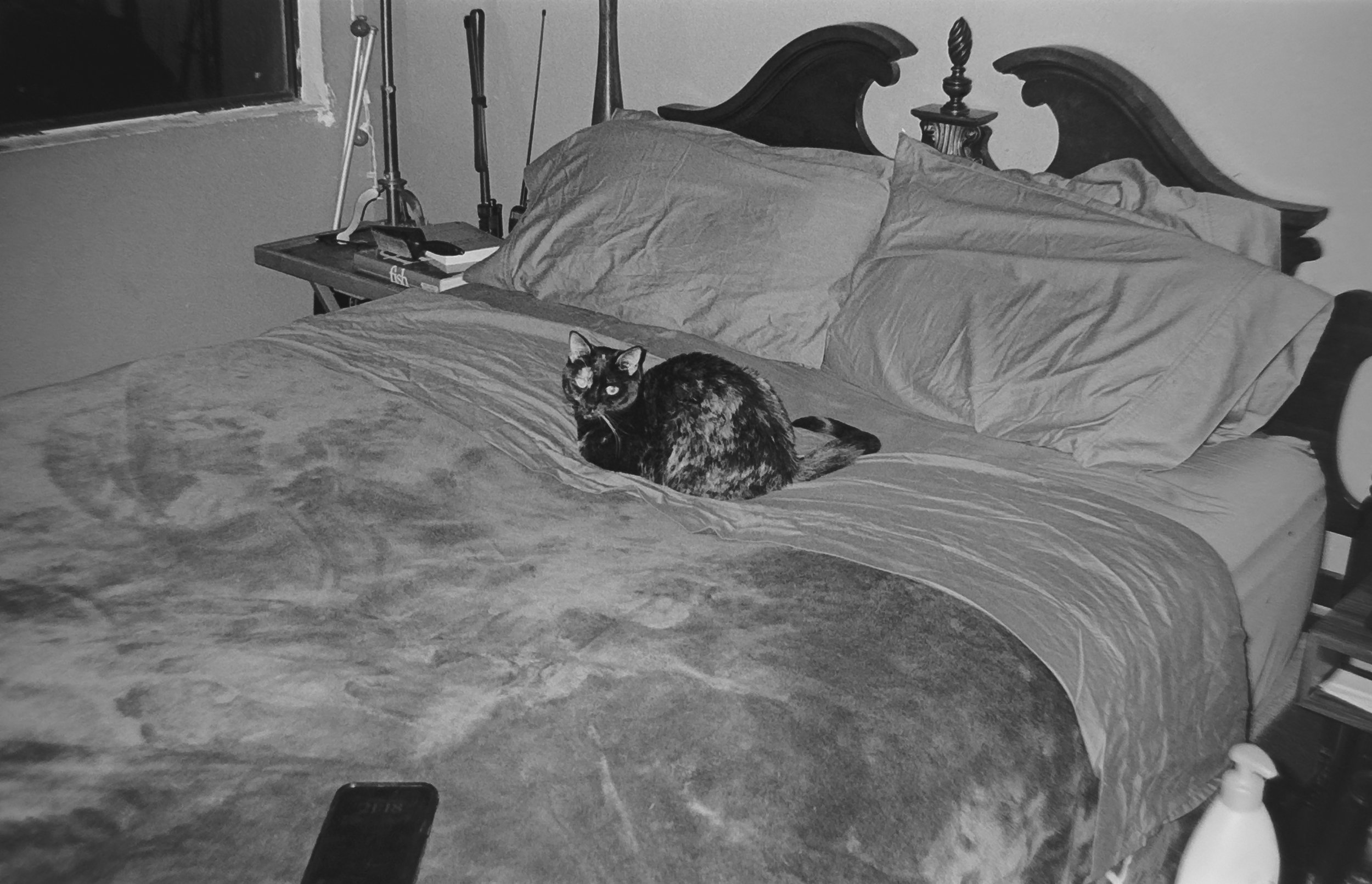 Camera: Pentax Zoom 90-WR
Film: Kodak Tri-X
Speed: 400
Size 135
Format: Full Frame