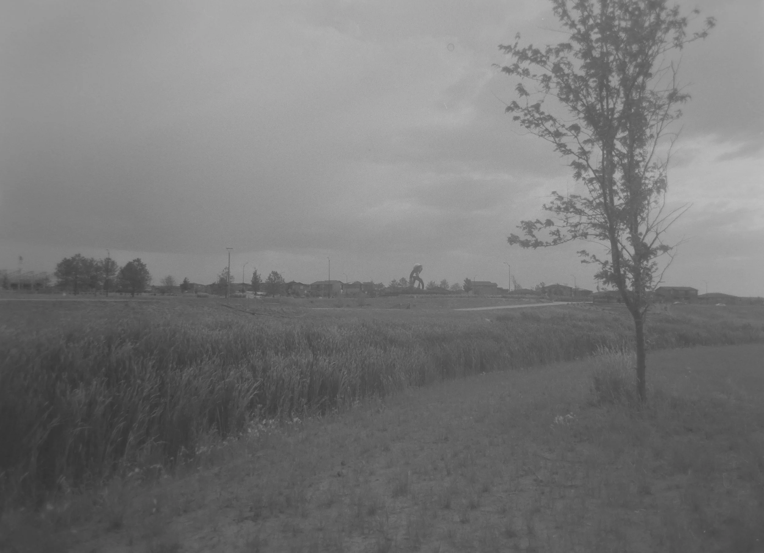 Life Blood
Hunter Brown
Camera: Canon A-1
Film: Kentmere Pan
Speed: 200
Size: 135
Format: Full Frame