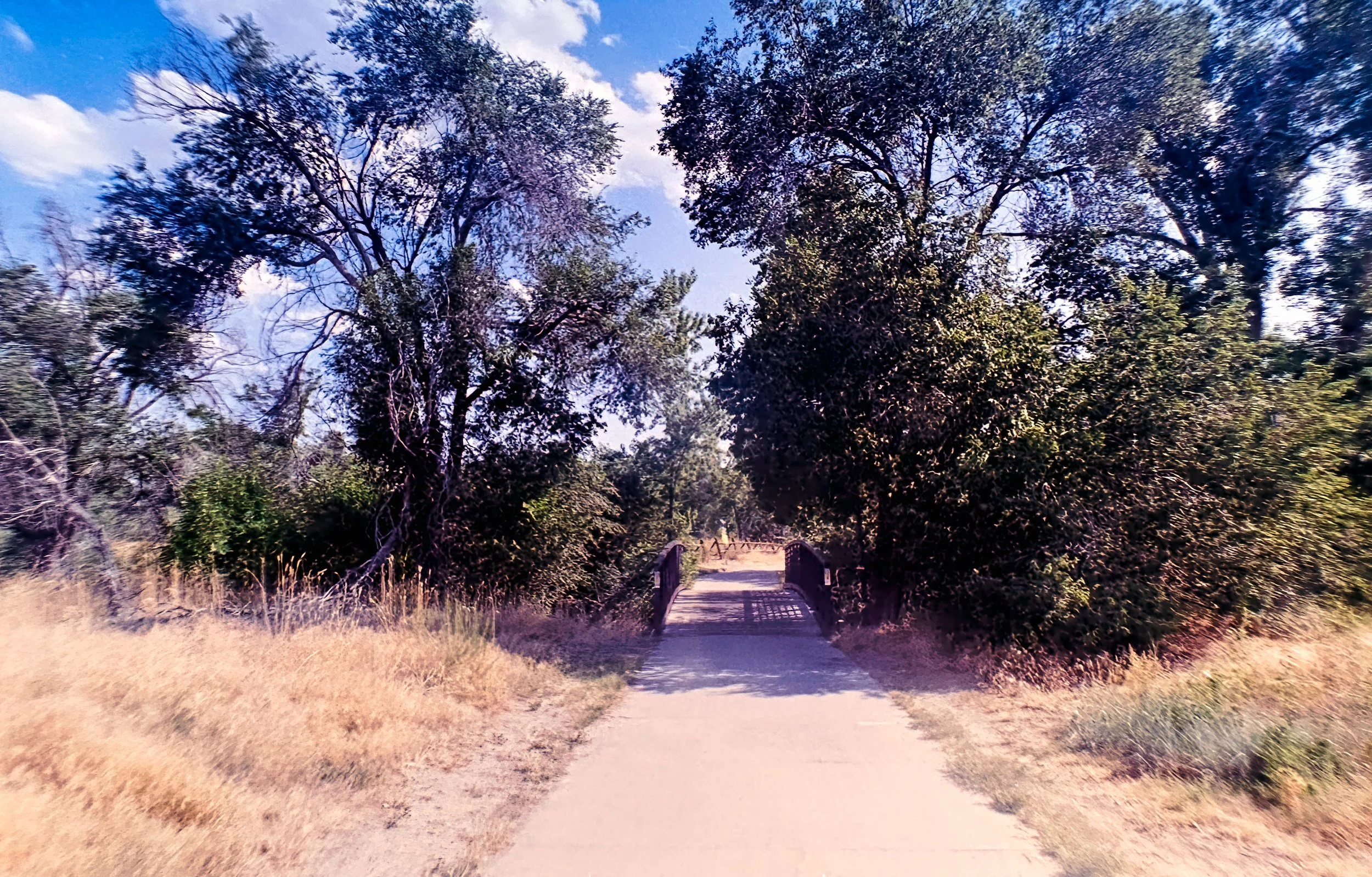 Paul A Hentzell Park
Camera: Canon A-1
Film: Kodak UltraMax
Speed: 400
Size: 135
Format: Full Frame