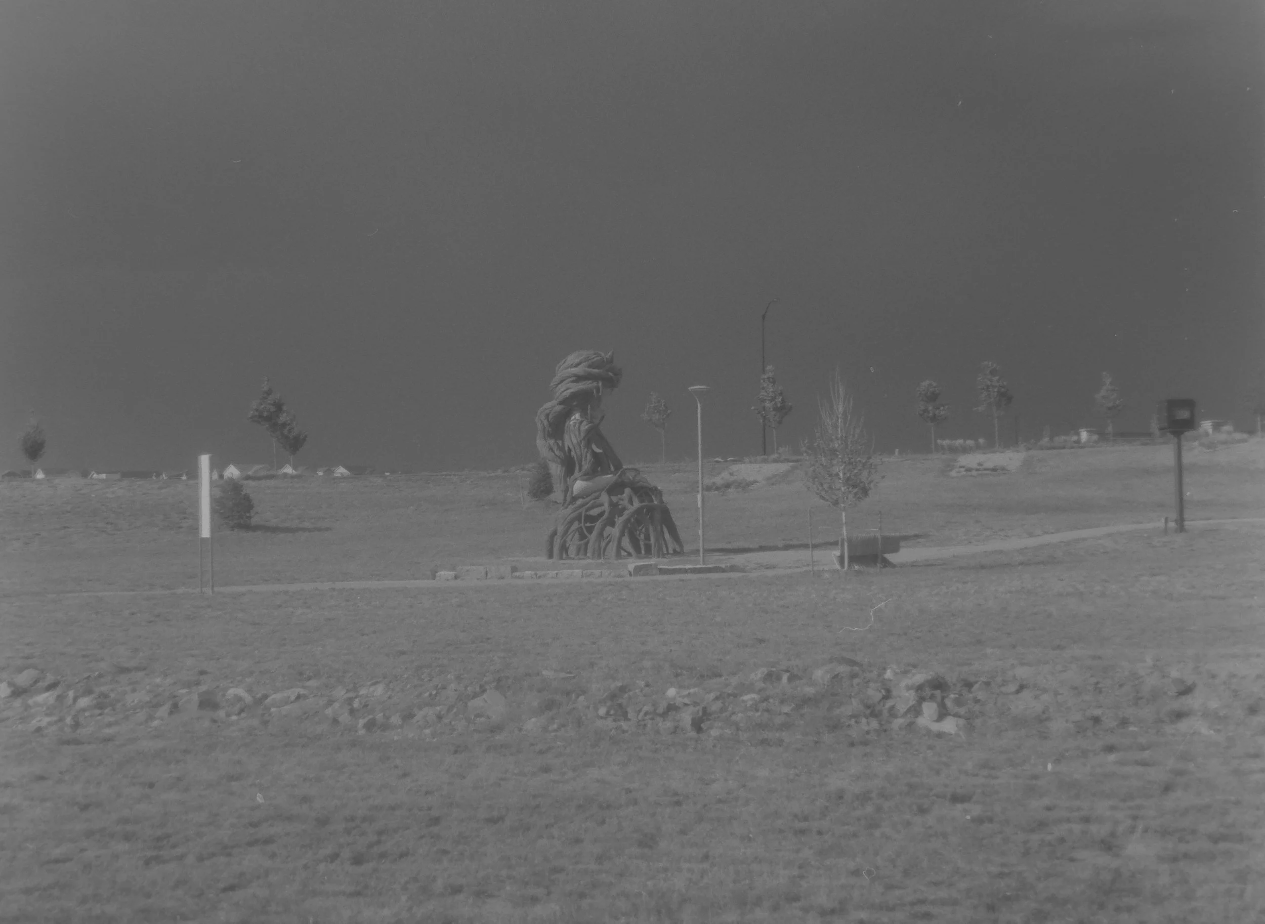 Umi
Daniel Popper
Camera: Canon A-1
Film: Kentmere Pan
Speed: 200
Size: 135
Format: Full Frame