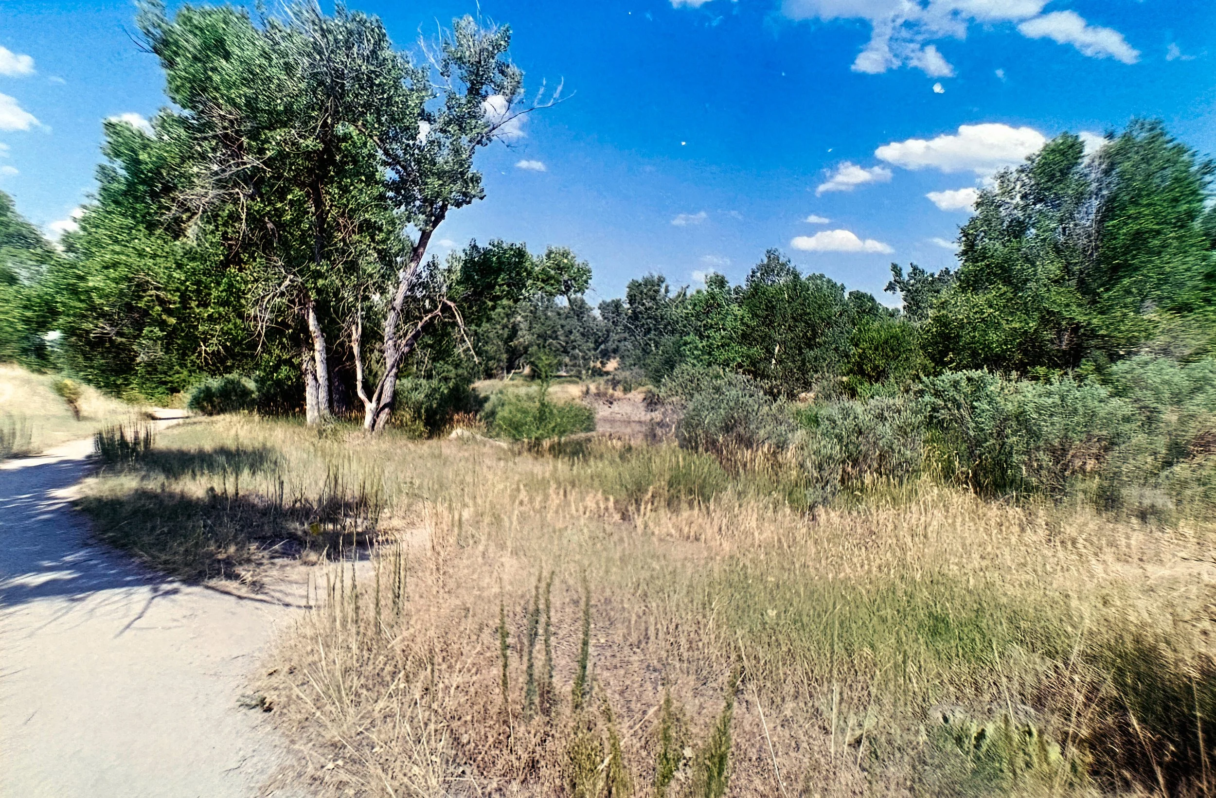 Paul A Hentzell Park
Camera: Canon A-1
Film: Kodak UltraMax
Speed: 400
Size: 135
Format: Full Frame
