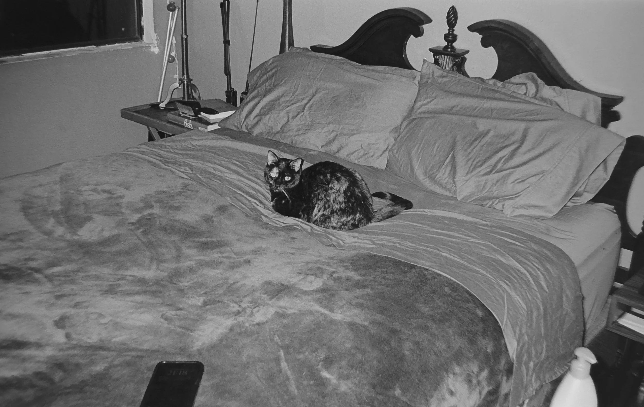 Karen
Camera: Pentax Zoom 90 WR
Film: Kodak Tri-X
Speed: 400
Size: 135
Format: Full Frame