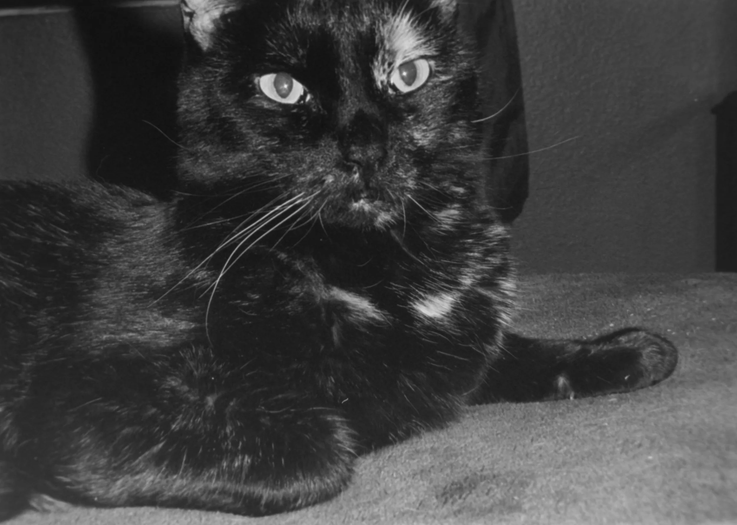 Karen
Camera: Pentax IQZoom 60
Film: Ilford HP5
Speed: 400
Size: 135
Format: Full Frame