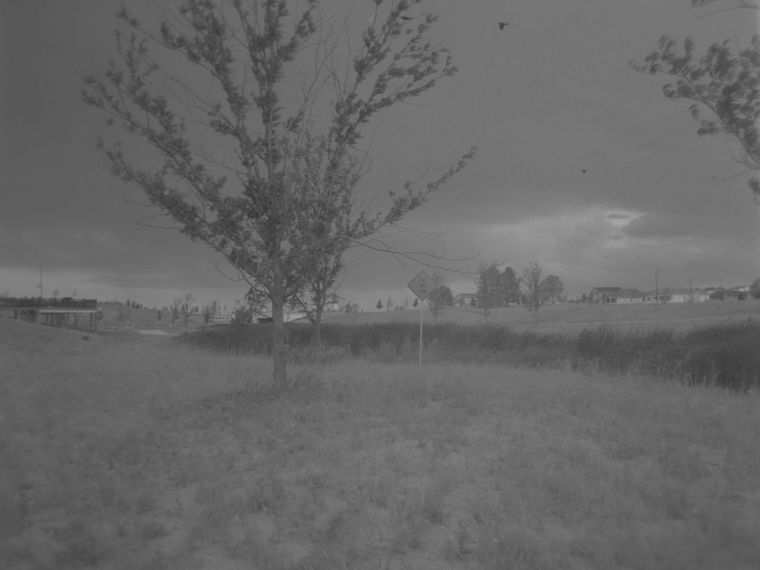 Love You More - Whatever, But With You
Olivia Steele
Camera: Canon A-1
Film: Kentmere Pan
Speed: 200
Size: 135
Format: Full Frame