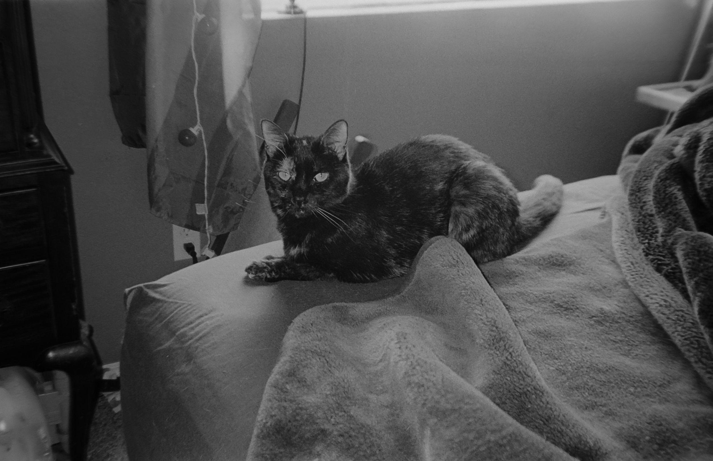 Camera: Pentax Zoom 90-WR
Film: Kodak Tri-X
Speed: 400
Size 135
Format: Full Frame