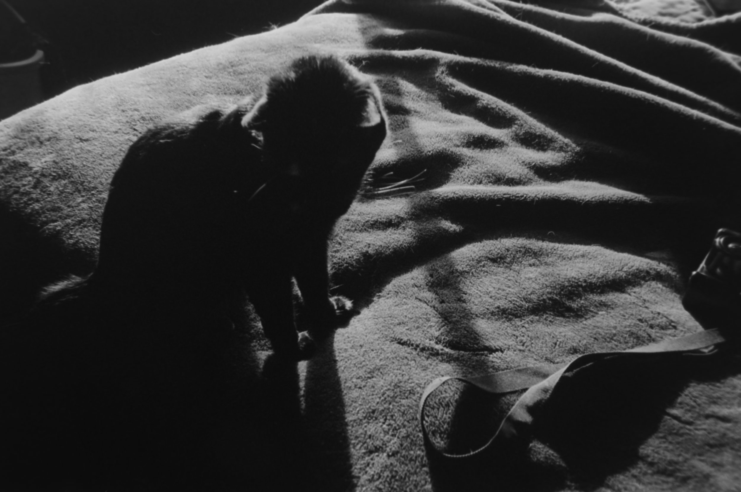 Karen
Camera: Pentax IQZoom 60
Film: Ilford HP5
Speed: 400
Size: 135
Format: Full Frame