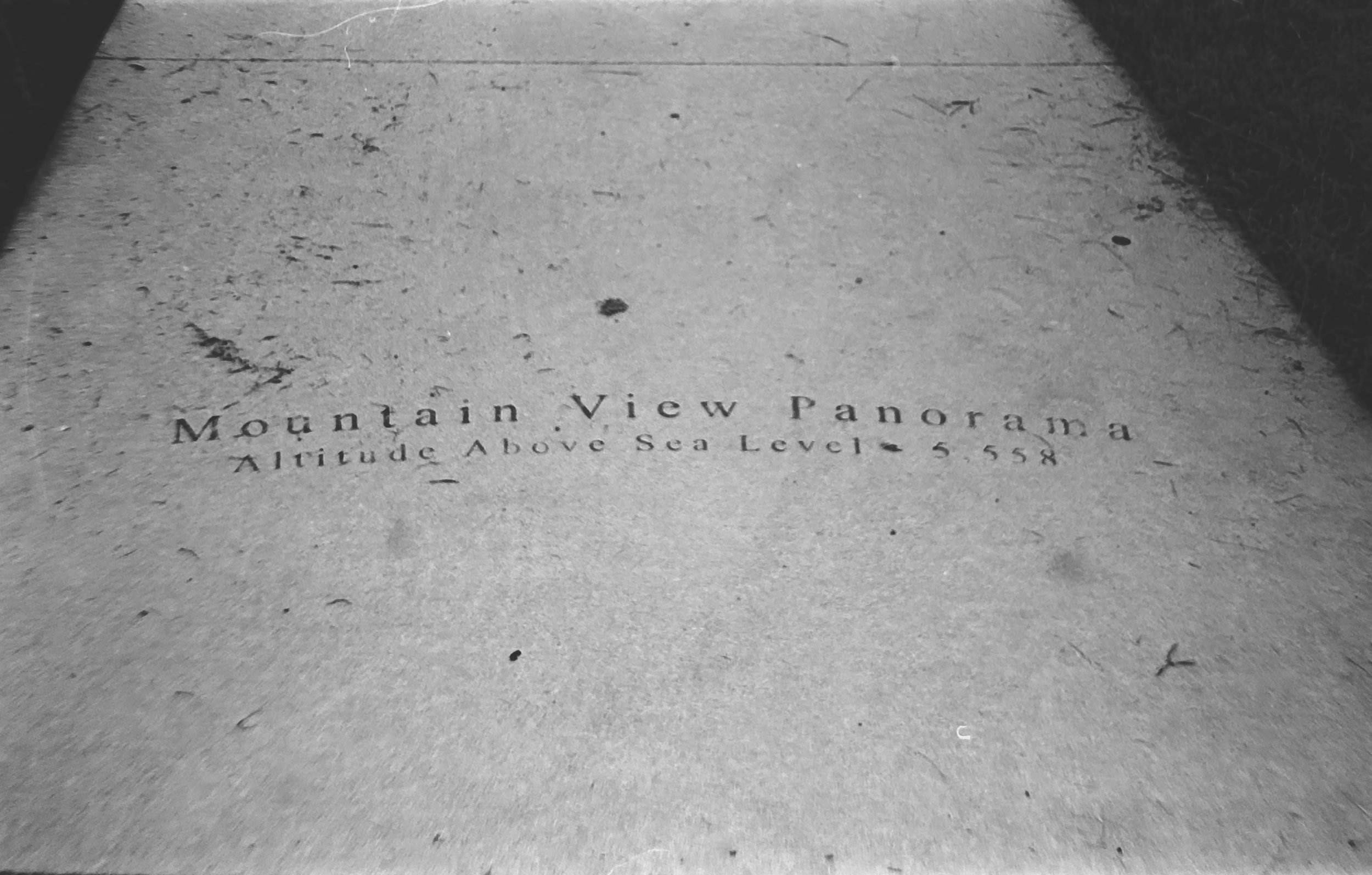 Camera: Pentax Zoom 90-WR
Film: Kodak Tri-X
Speed: 400
Size 135
Format: Full Frame