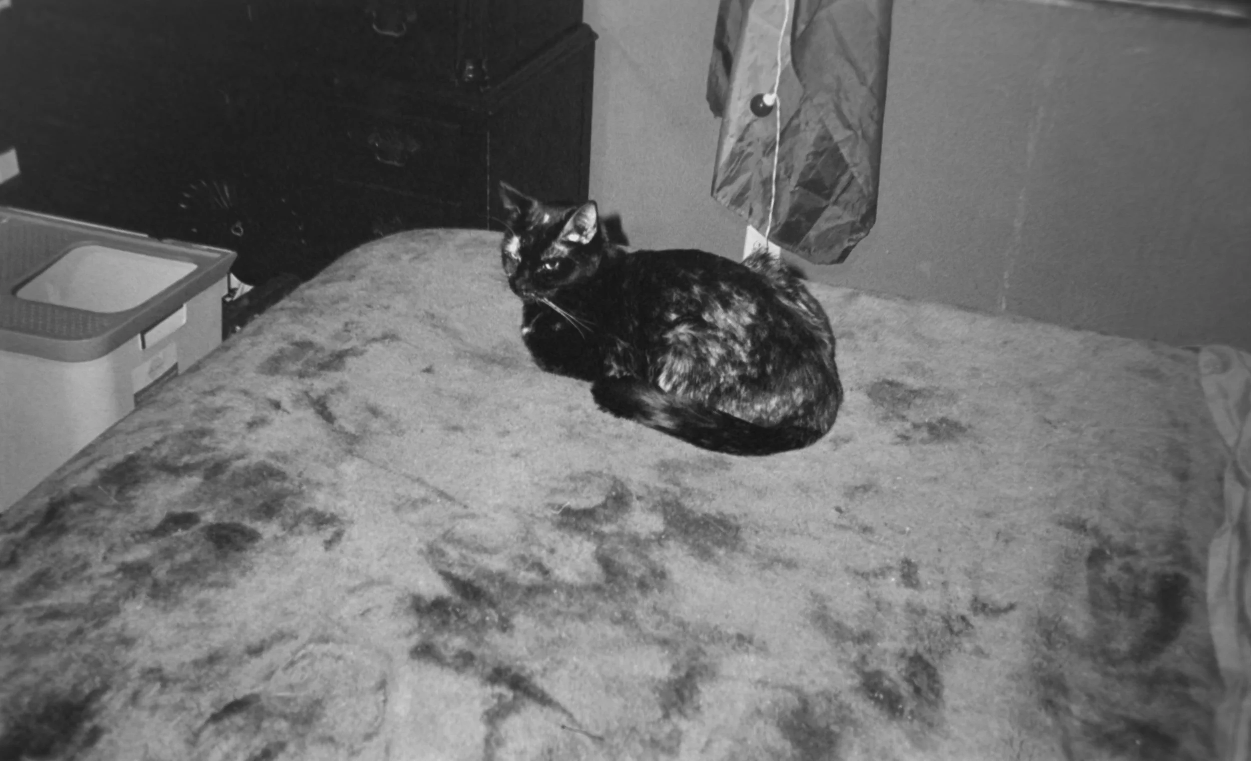 Karen
Camera: Pentax IQZoom 60
Film: Ilford HP5
Speed: 400
Size: 135
Format: Full Frame