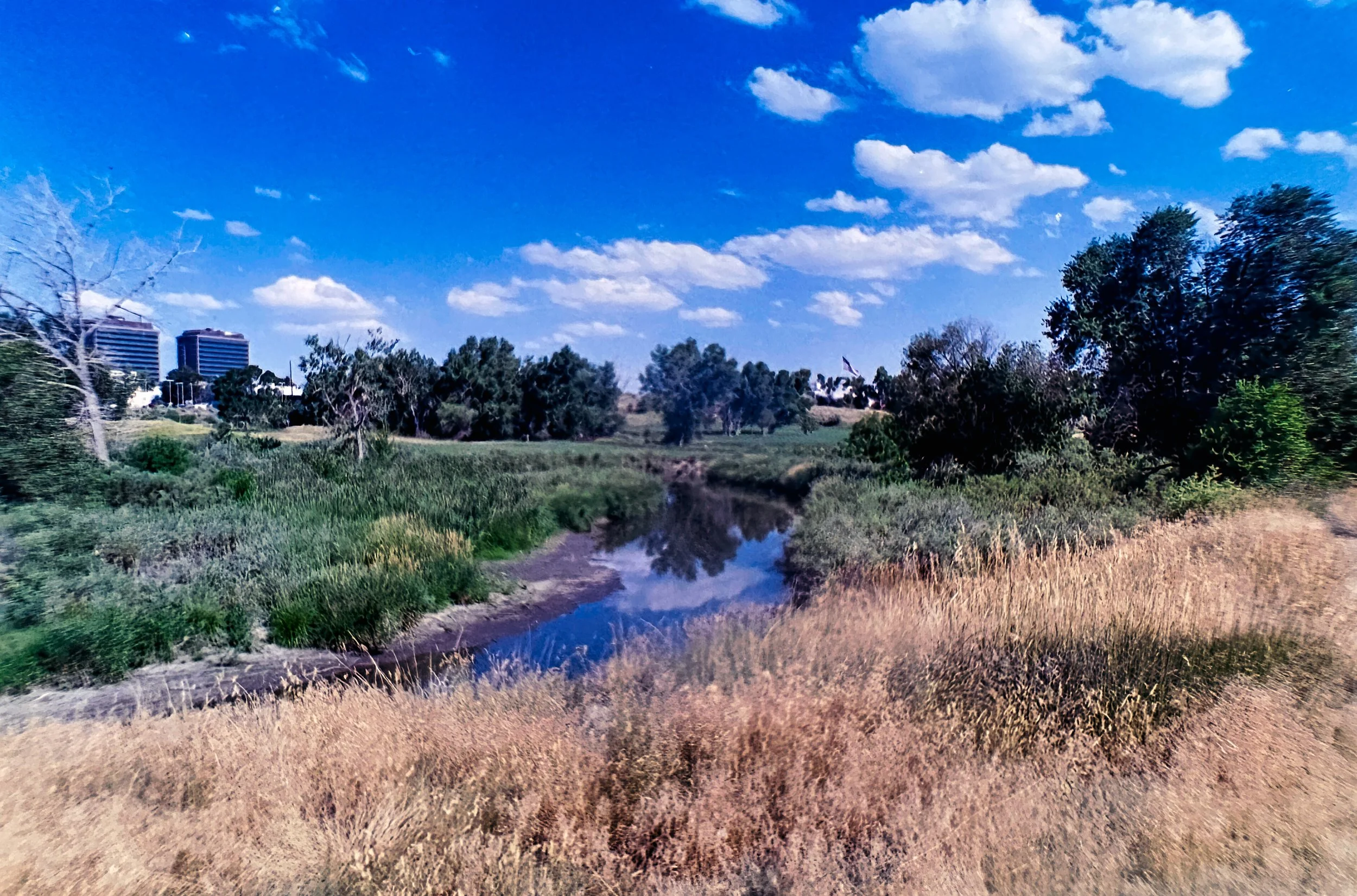 Paul A Hentzell Park
Camera: Canon A-1
Film: Kodak UltraMax
Speed: 400
Size: 135
Format: Full Frame