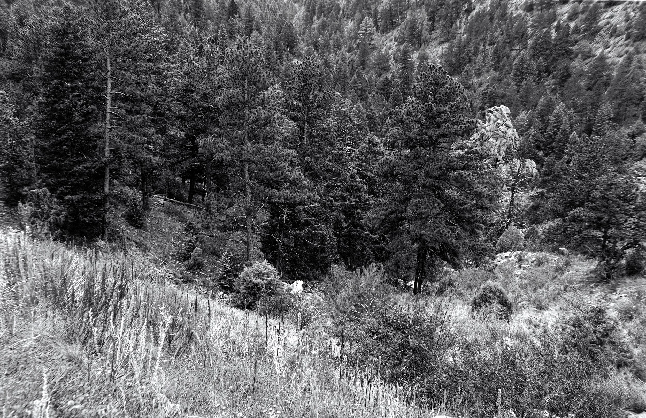 Central City Parkway
Zeiss Ikon Ikonta 523/2
Film: Ilford Ortho
Speed: 80
Size: 120
Format: 6x9