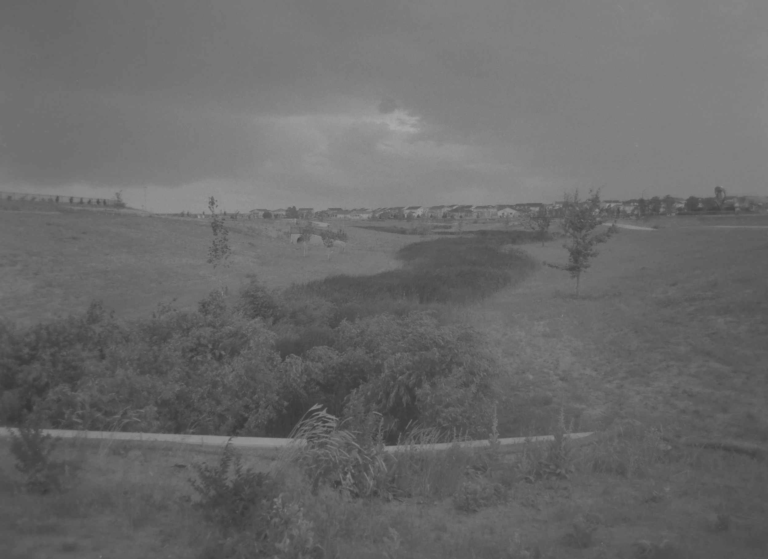 Wind
Camera: Canon A-1
Film: Kentmere Pan
Speed: 200
Size: 135
Format: Full Frame