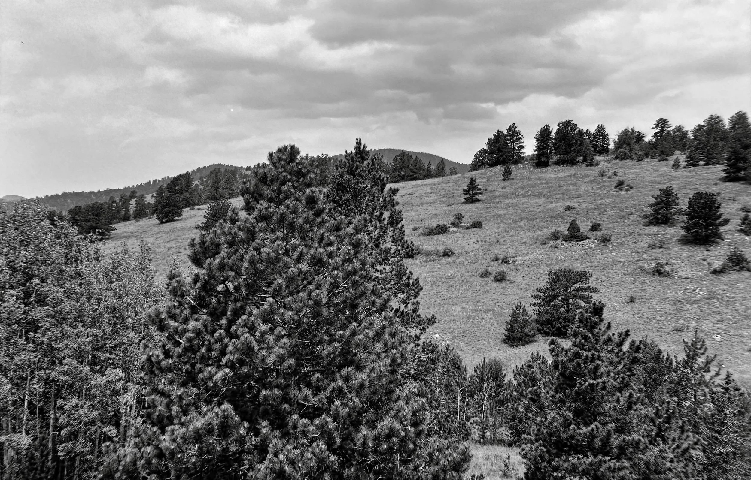 Central City Parkway
Zeiss Ikon Ikonta 523/2
Film: Ilford Ortho
Speed: 80
Size: 120
Format: 6x9