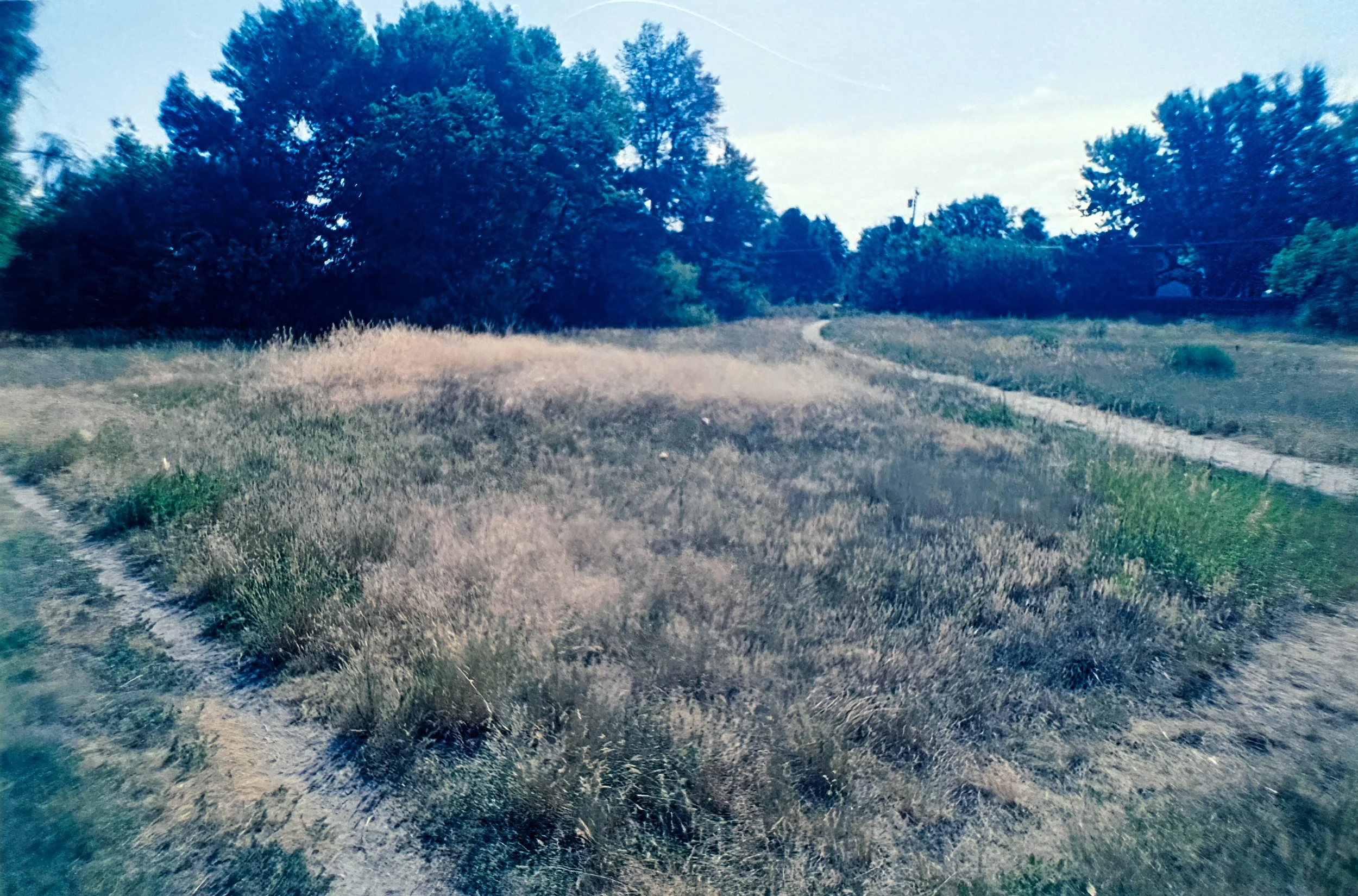 Paul A Hentzell Park
Camera: Canon A-1
Film: Kodak UltraMax
Speed: 400
Size: 135
Format: Full Frame
