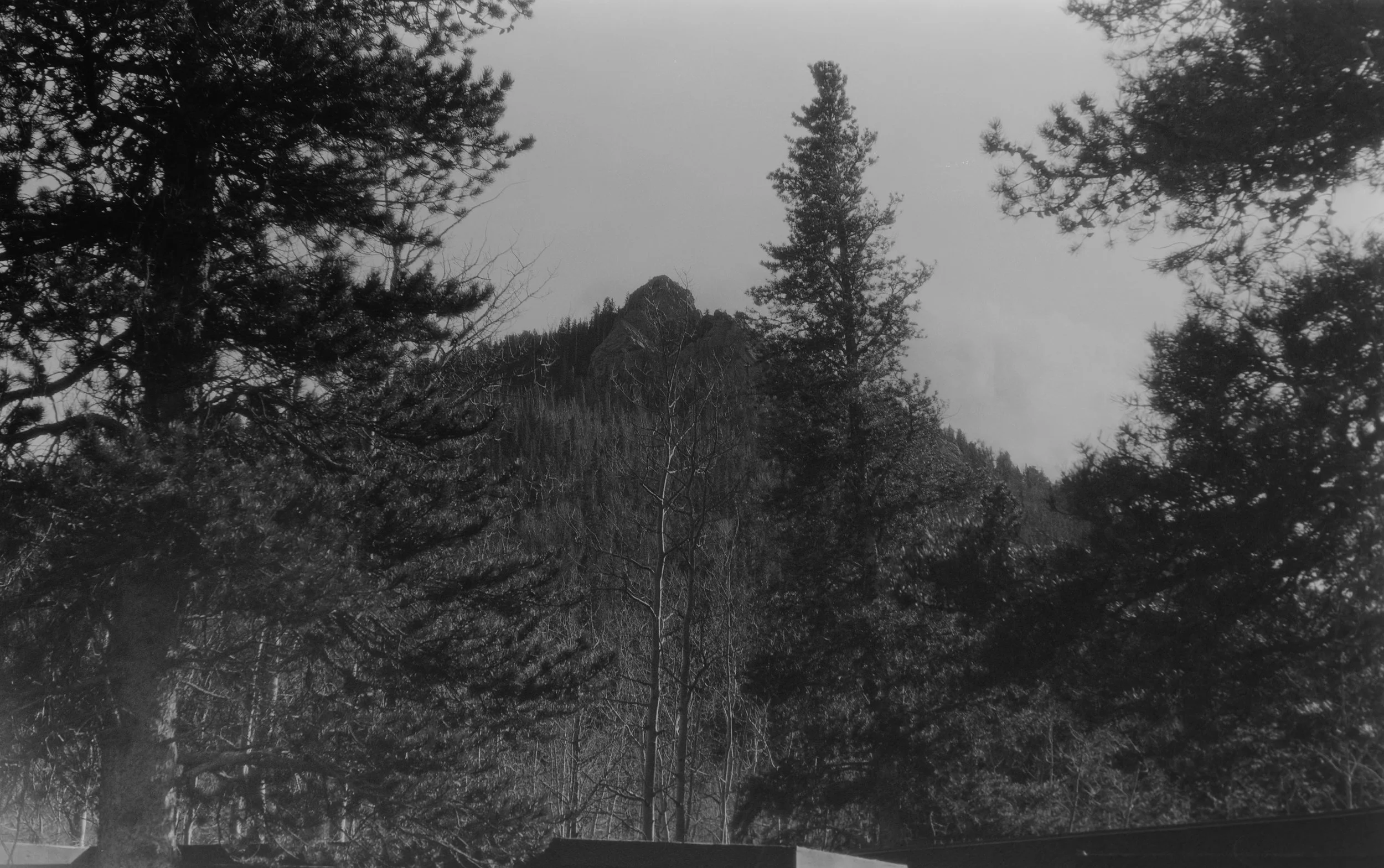 Panorama Point
Camera: Zeiss Ikon Ikonta 523/2
Film: FPP X-Ray 
Speed: 100
Size: 120
Format: 6x9