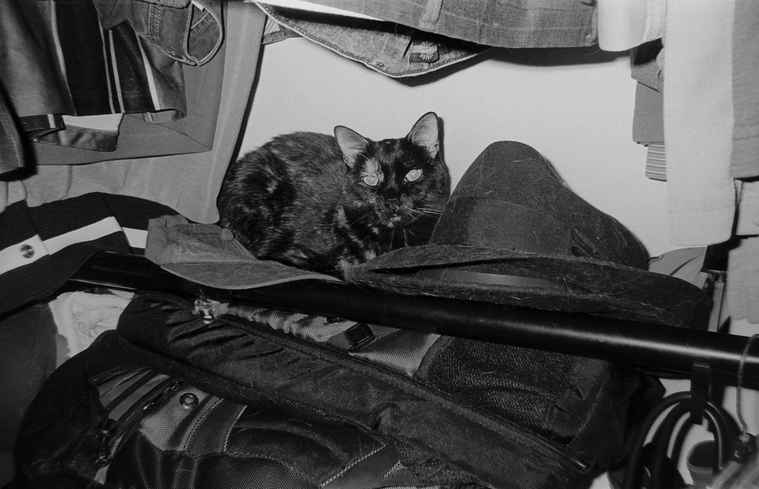 Camera: Pentax Zoom 90-WR
Film: Kodak Tri-X
Speed: 400
Size 135
Format: Full Frame