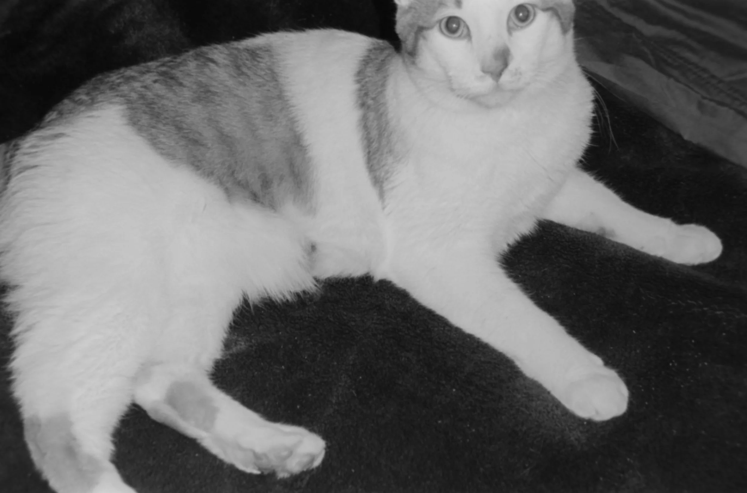 Chad
Camera: Pentax IQZoom 60
Film: Ilford HP5
Speed: 400
Size: 135
Format: Full Frame